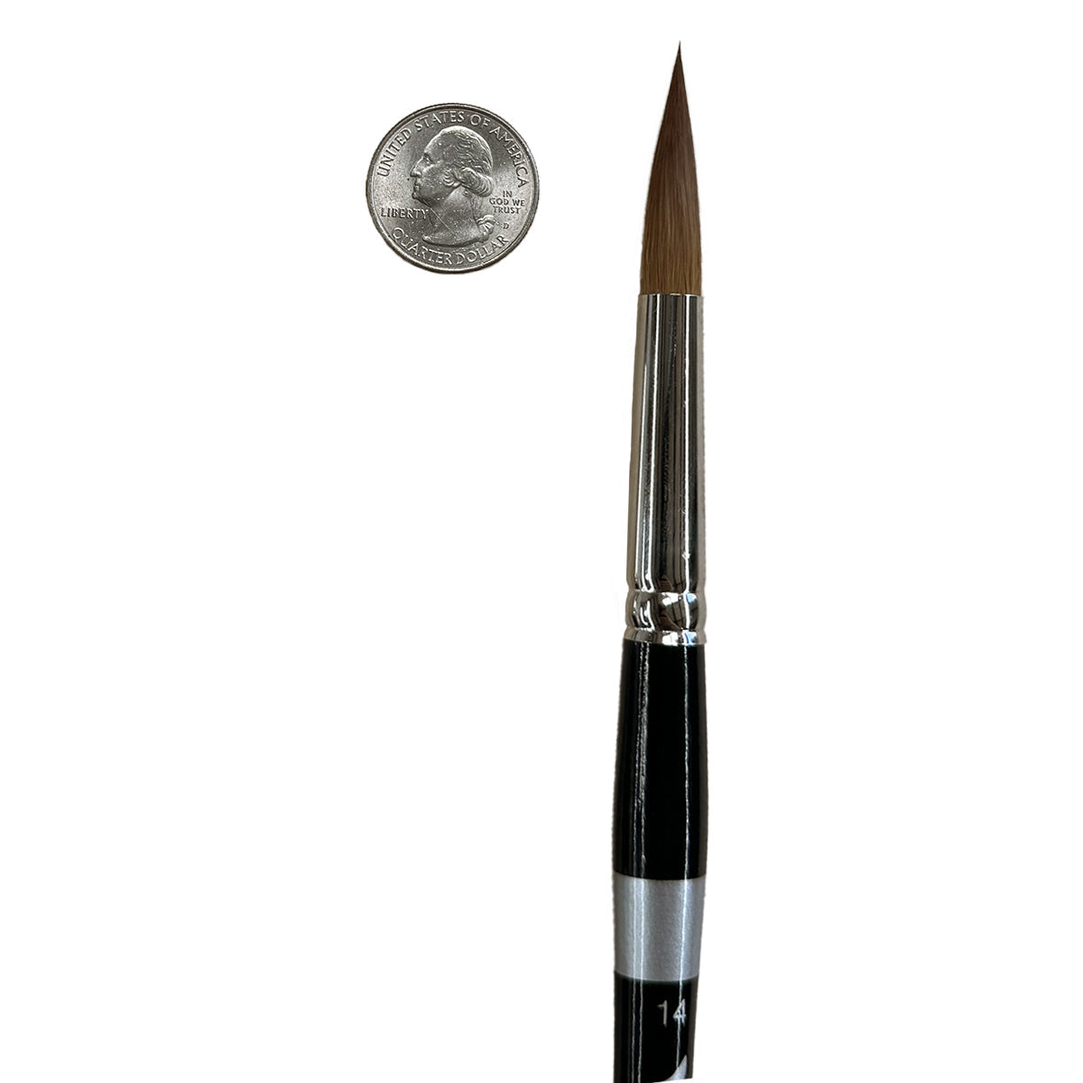 Trekell Protégé Plus #14 Round - Synthetic Kolinsky - Big Brush