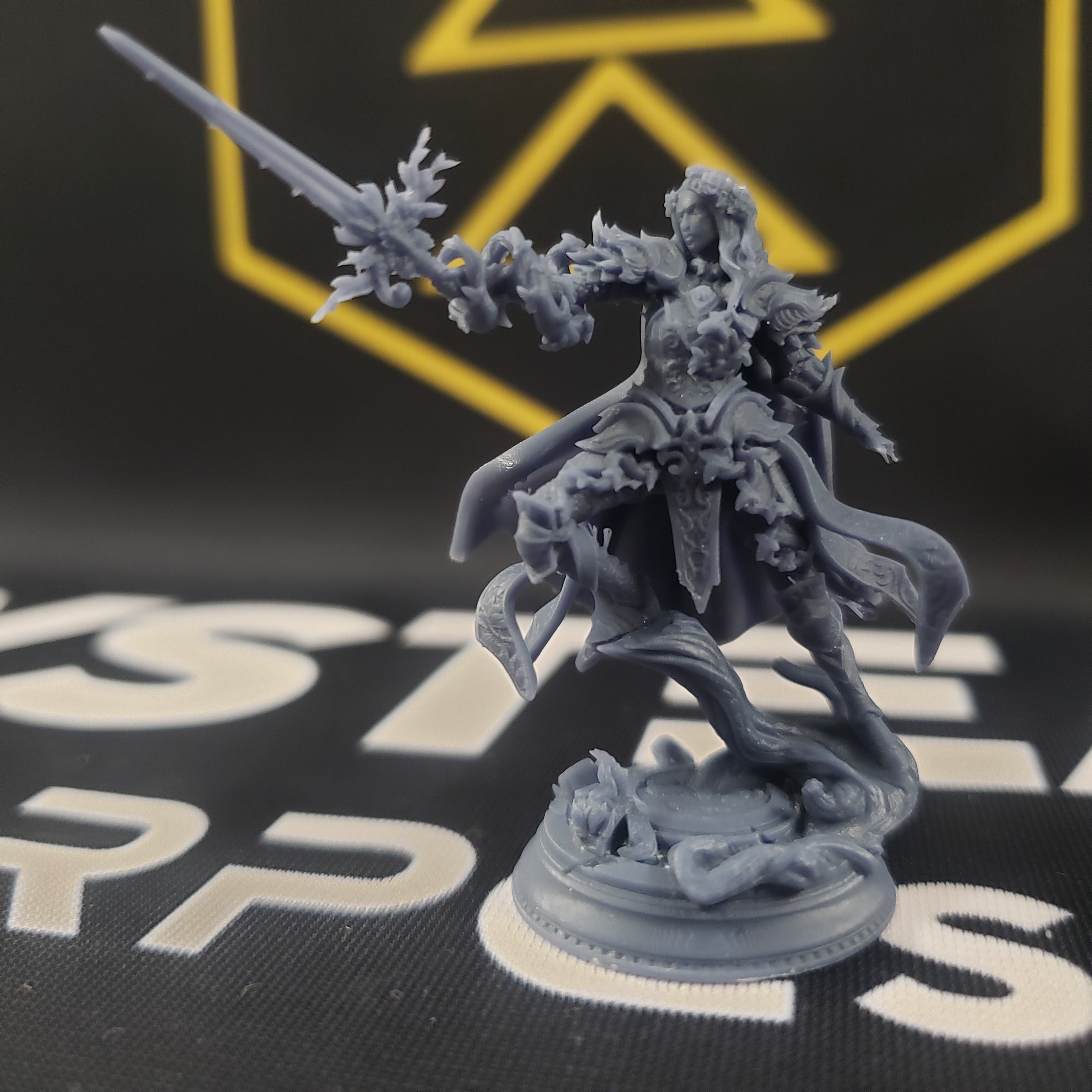 Celathyn, Heir of Elven Hope (Female Elf Paladin)