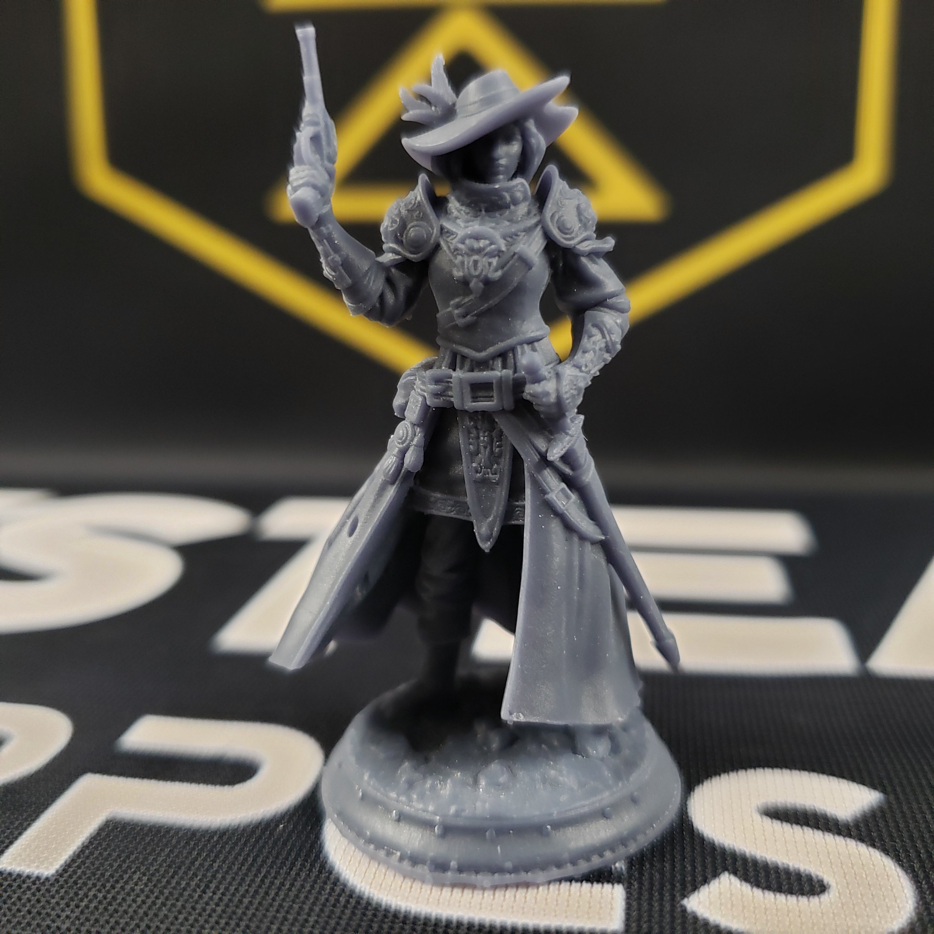 Lady Cirilia of the Reach, High Inquisitor (Female Human Gunslinger)