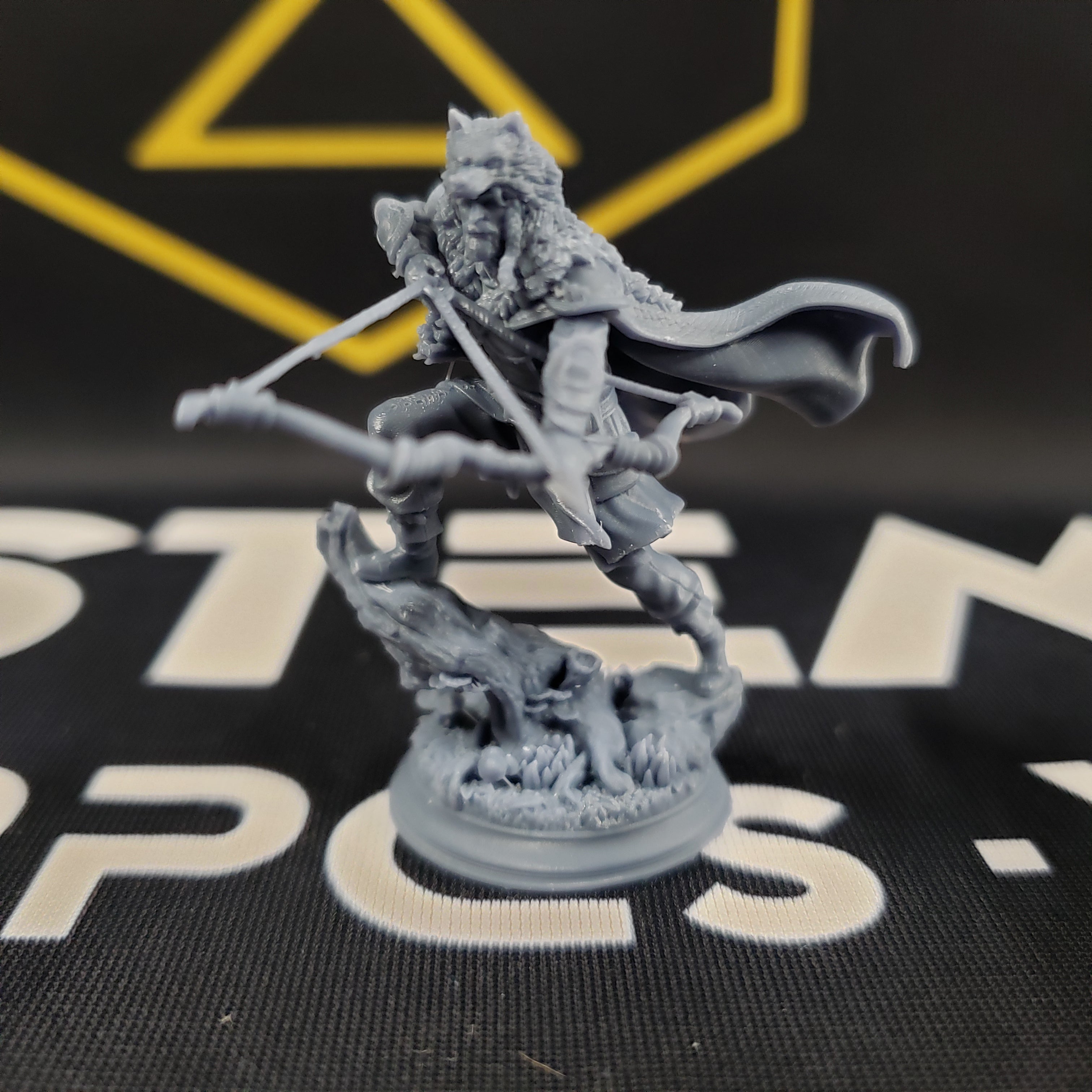 Vidarr Skallgrim, Nordic Hunter (Male Human Ranger)