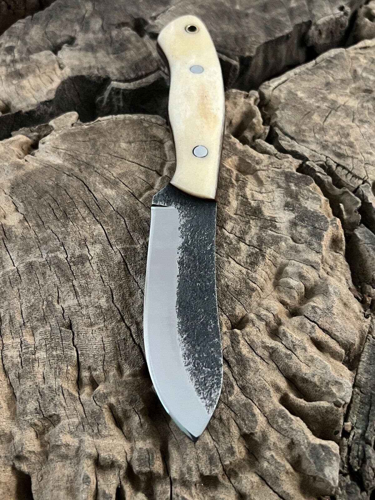 WildEdge High-Carbon Steel Bushcraft Knife – 8-Inch Survival Blade with Bone Handle