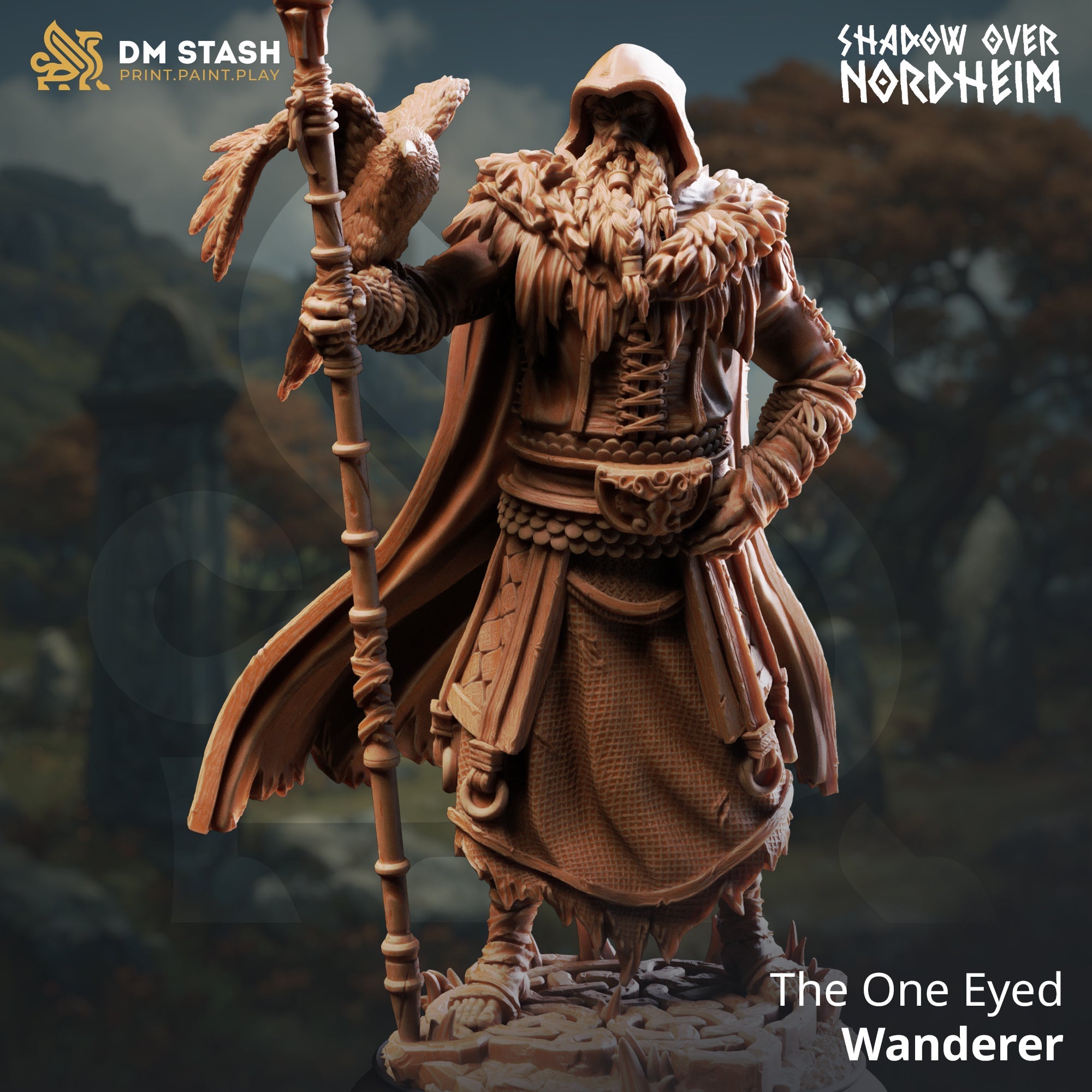 The One Eyed Wanderer (Male Human Cleric)