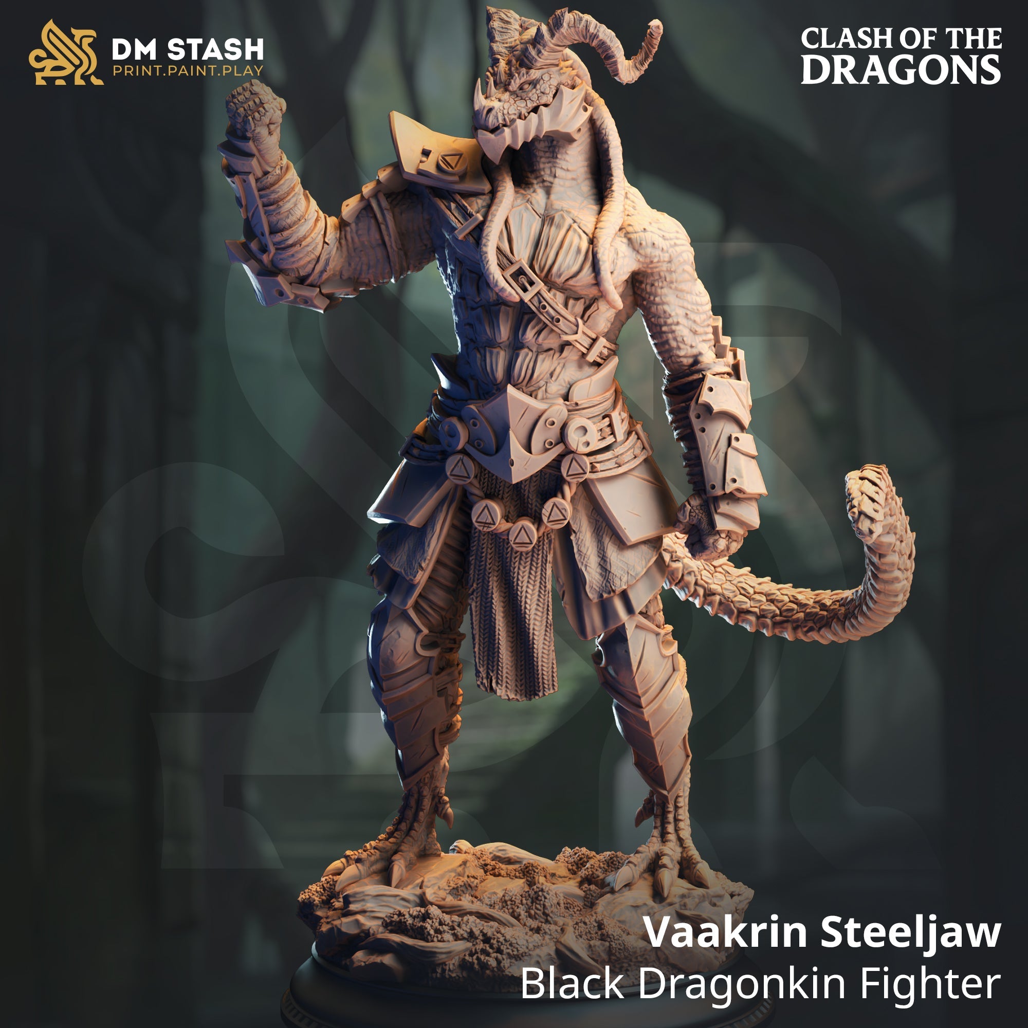 Vaakrin Steeljaw, Black Dragonkin Fighter (Male Dragonborn Fighter)