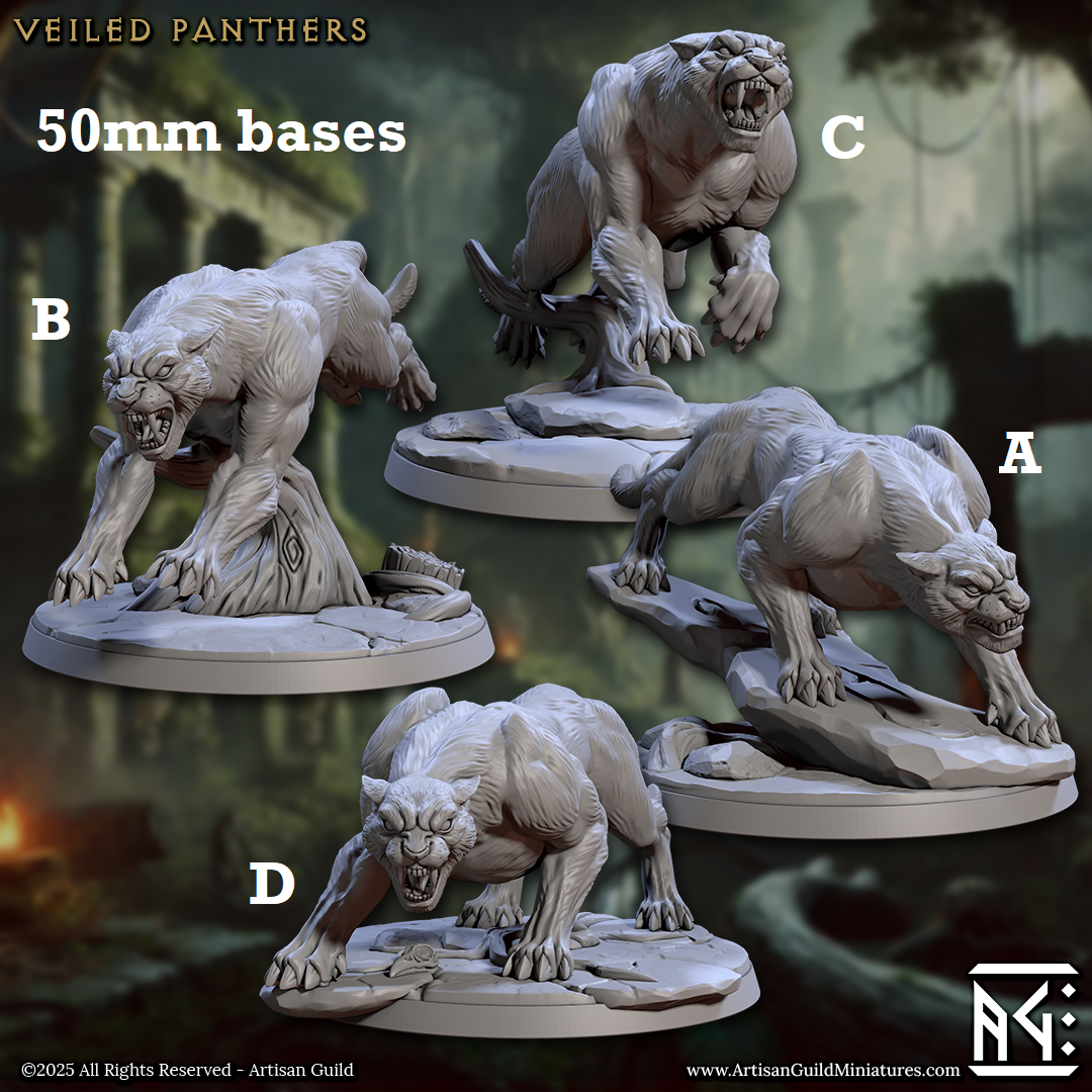 Wild Veiled Panthers