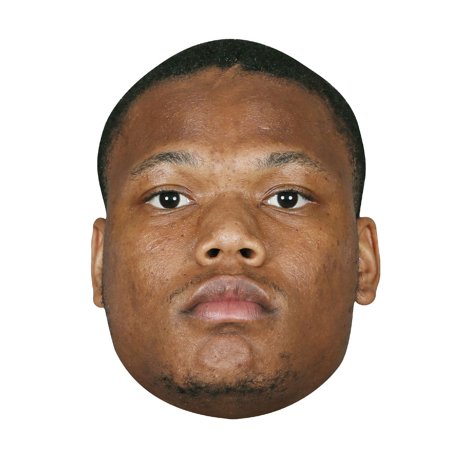 David Montgomery - Big Head - Official NFLPA - Detroit Lions - Foam Core Cutout