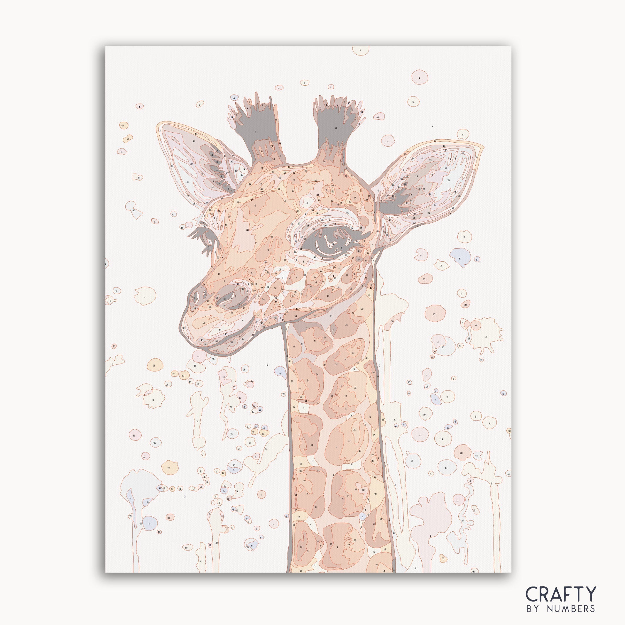 Baby Giraffe