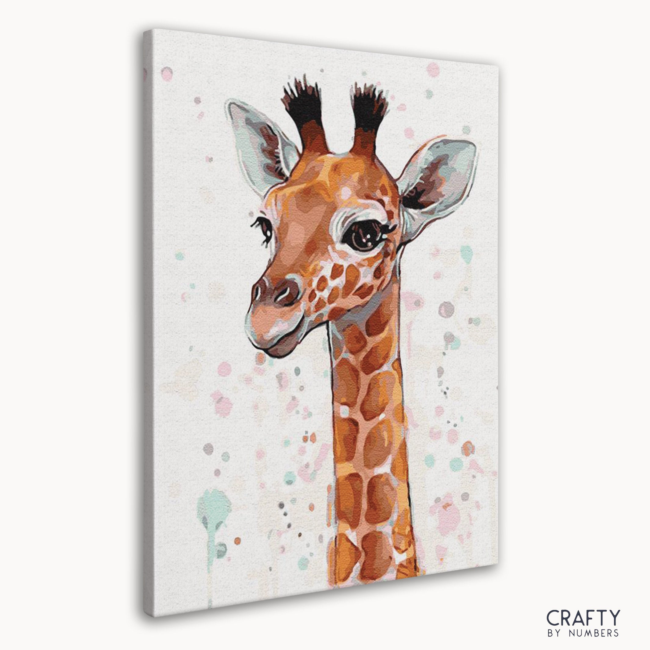 Baby Giraffe
