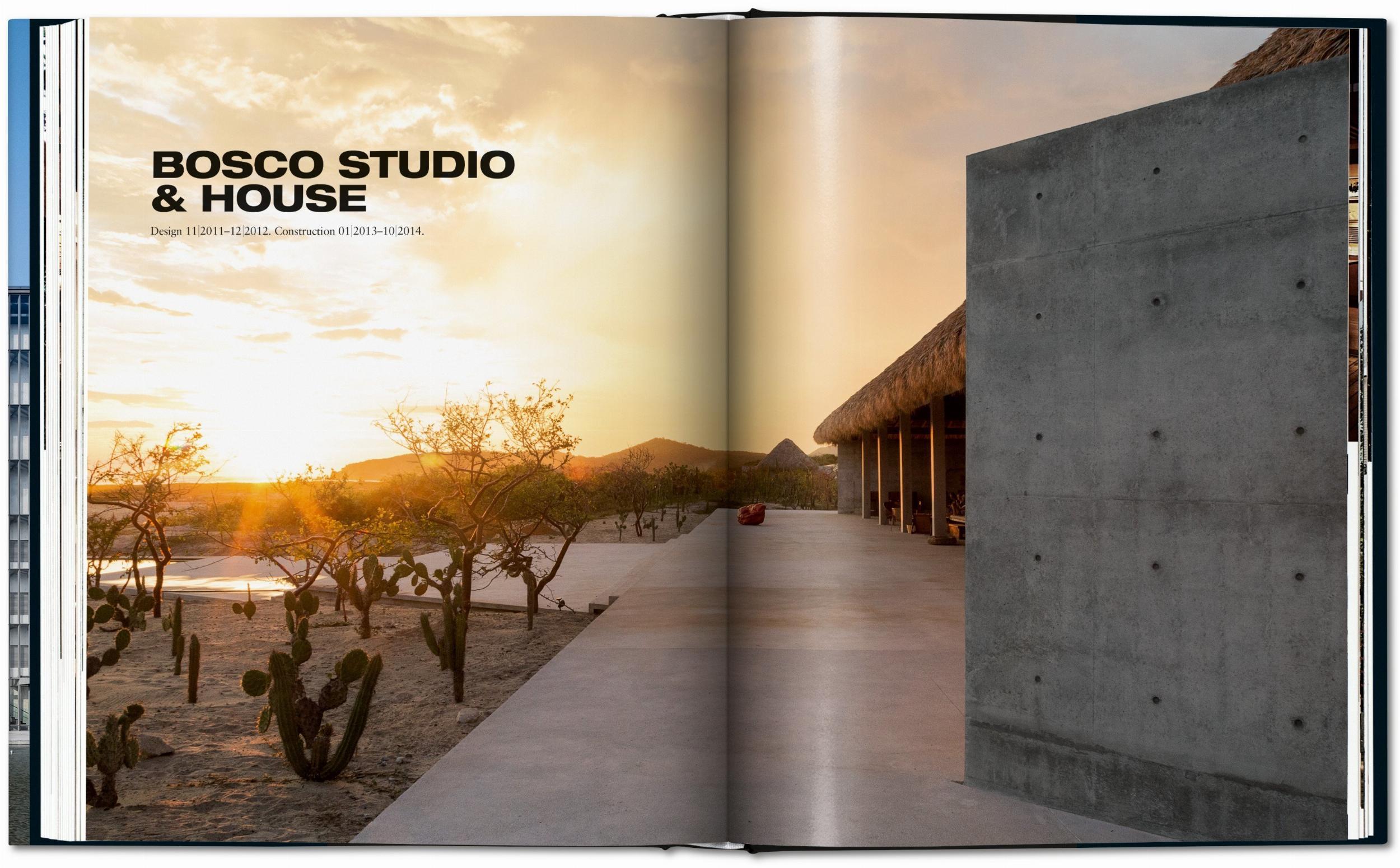 Ando. Complete Works 1975–Today (German, French, English)