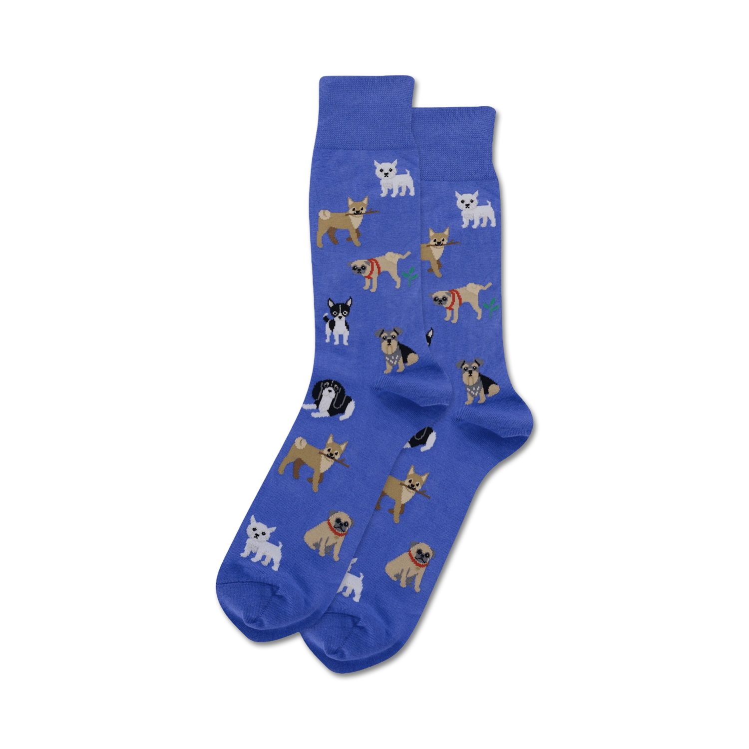 Dogs Of The World