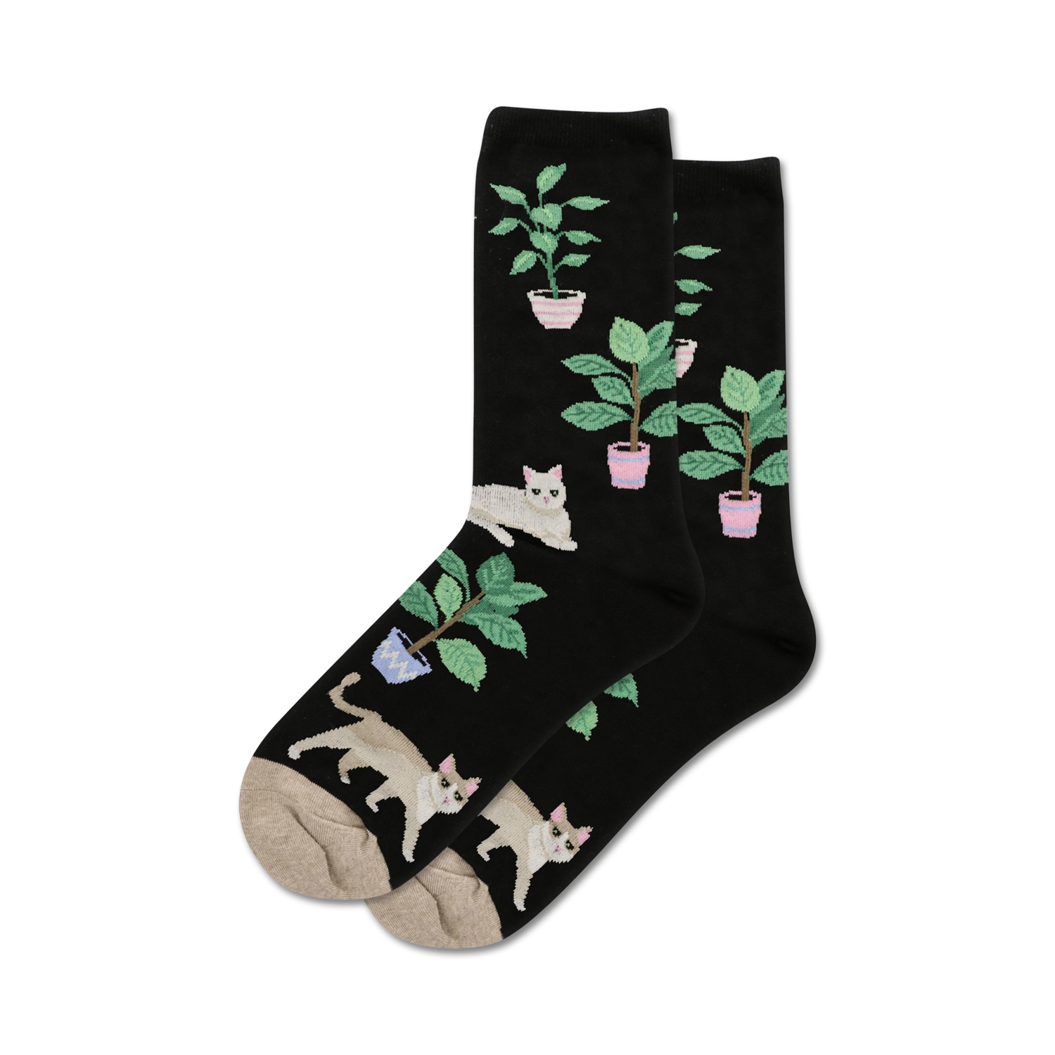 Cats and Plants