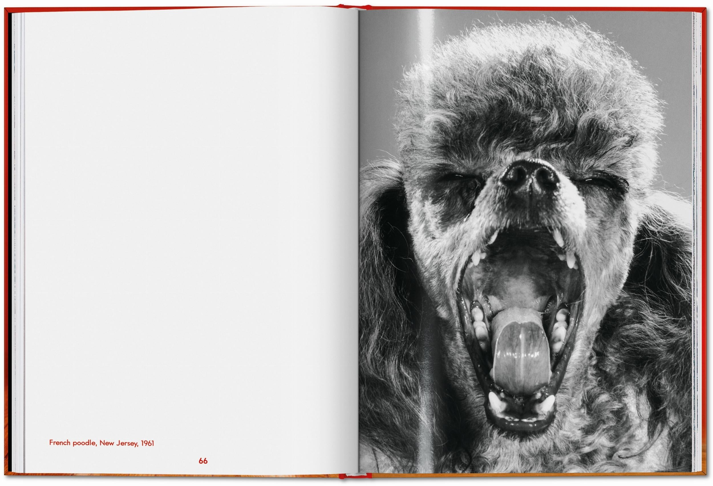 Walter Chandoha. Dogs. Photographs 1941–1991 (English)