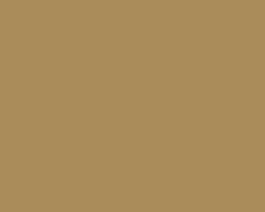 AK Interactive 11347 AFV Series: Australian Camouflage Brown 3G Acrylic Paint 17