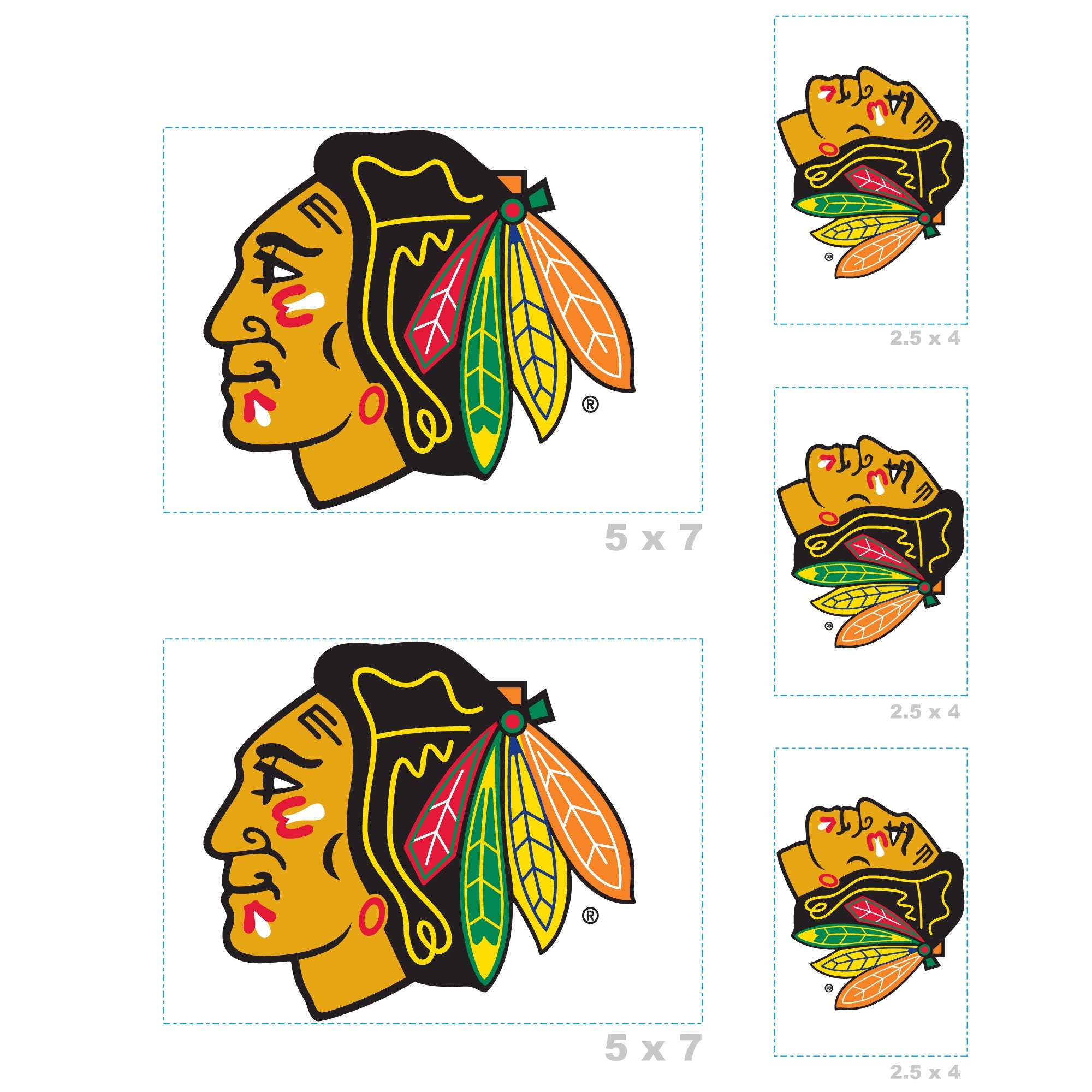 Chicago Blackhawks - 5 Logo Minis (Mixed Sizes) - Official NHL - Reusable Vinyl Decals