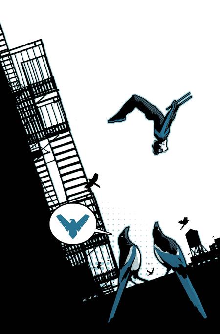 NIGHTWING #146 CVR B DAVID AJA CARD STOCK VAR CB (01/20/2027)