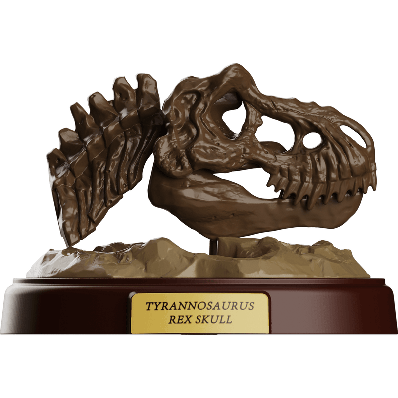 Jurassic World Terraventure TS 01 Dinosaur Capture Operation [Single Blind Box] | Blokees