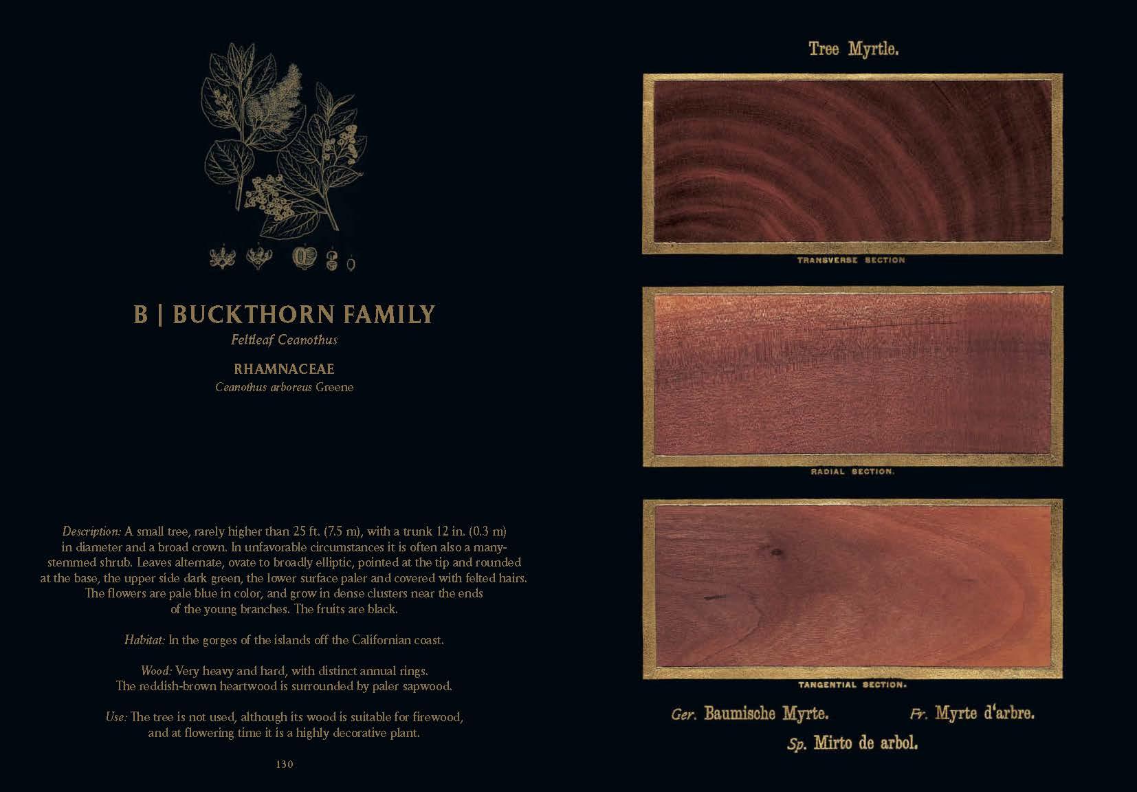 Romeyn B. Hough. The Woodbook. The Complete Plates (English)