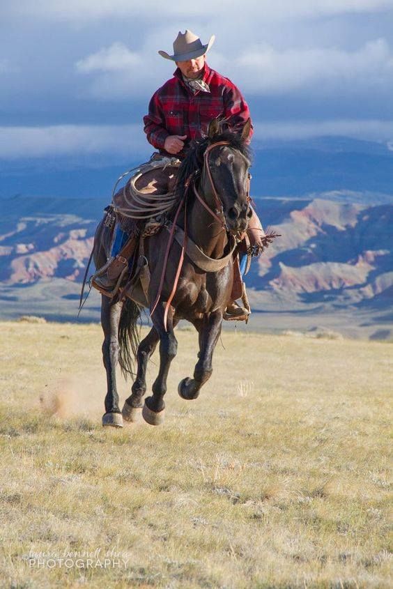 Cowboy Knife Sheath - Damascus & Antler Western Set