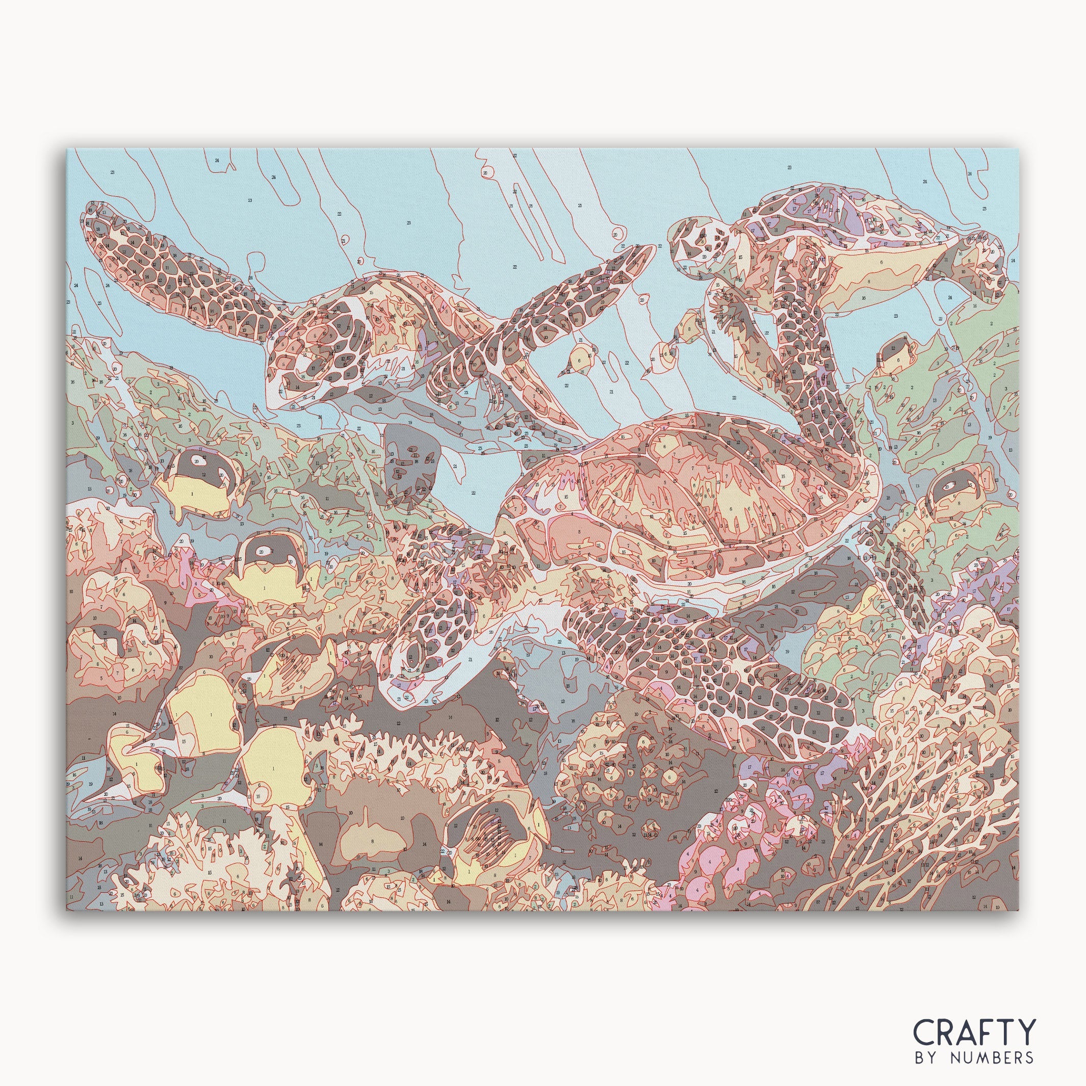 Sea Turtle Family