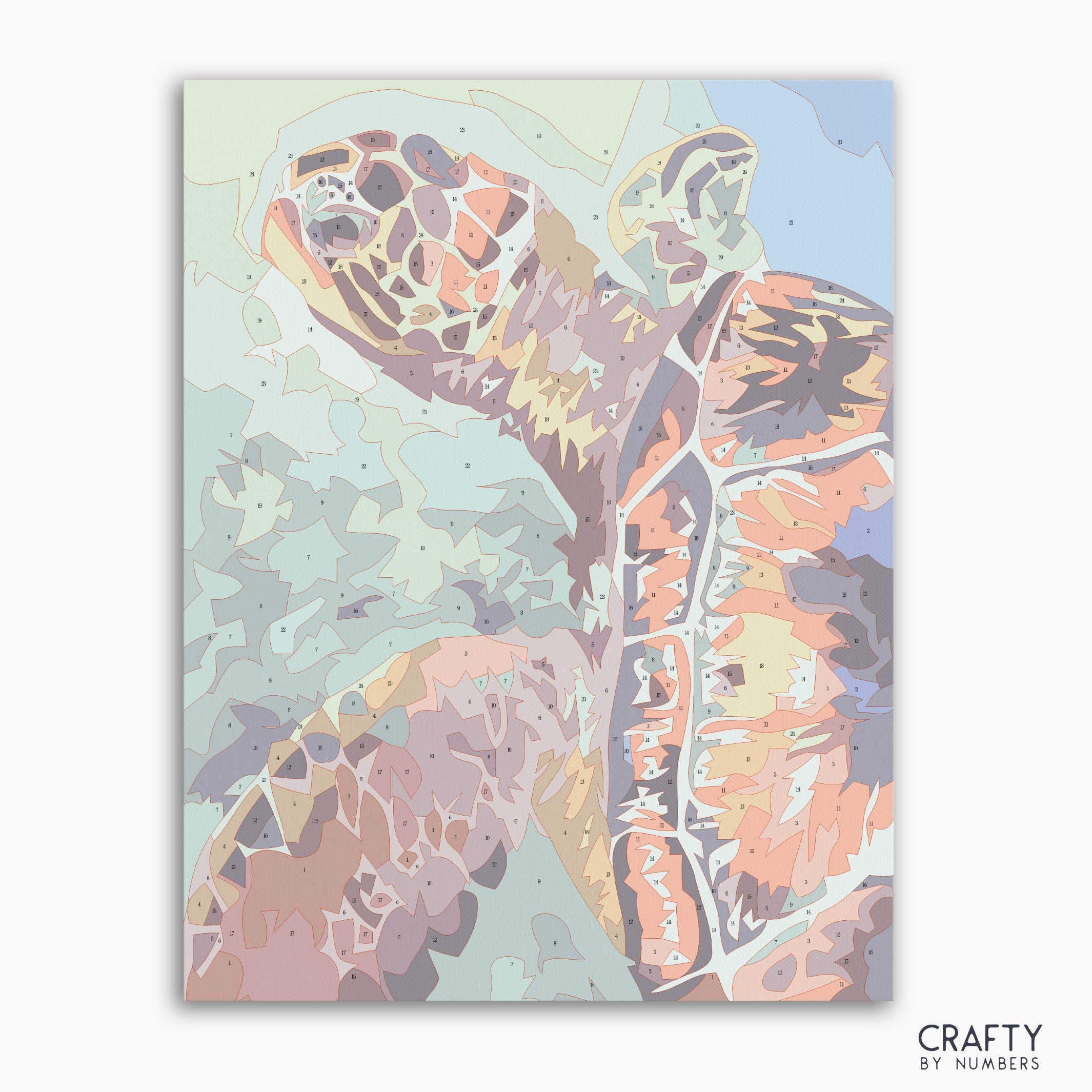 Sea Turtle