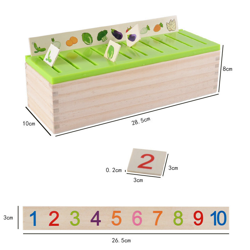 Wooden Knowledge Classification Box – Educational Toy for Early Learning