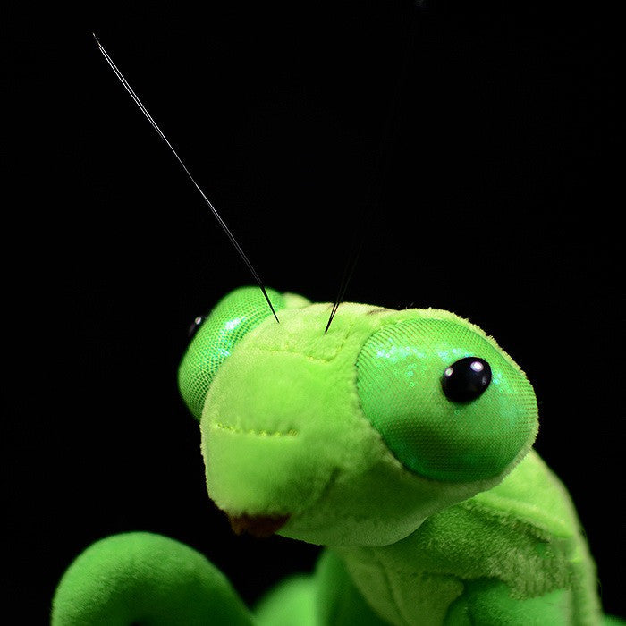 Lifelike Mantis Plush Toy