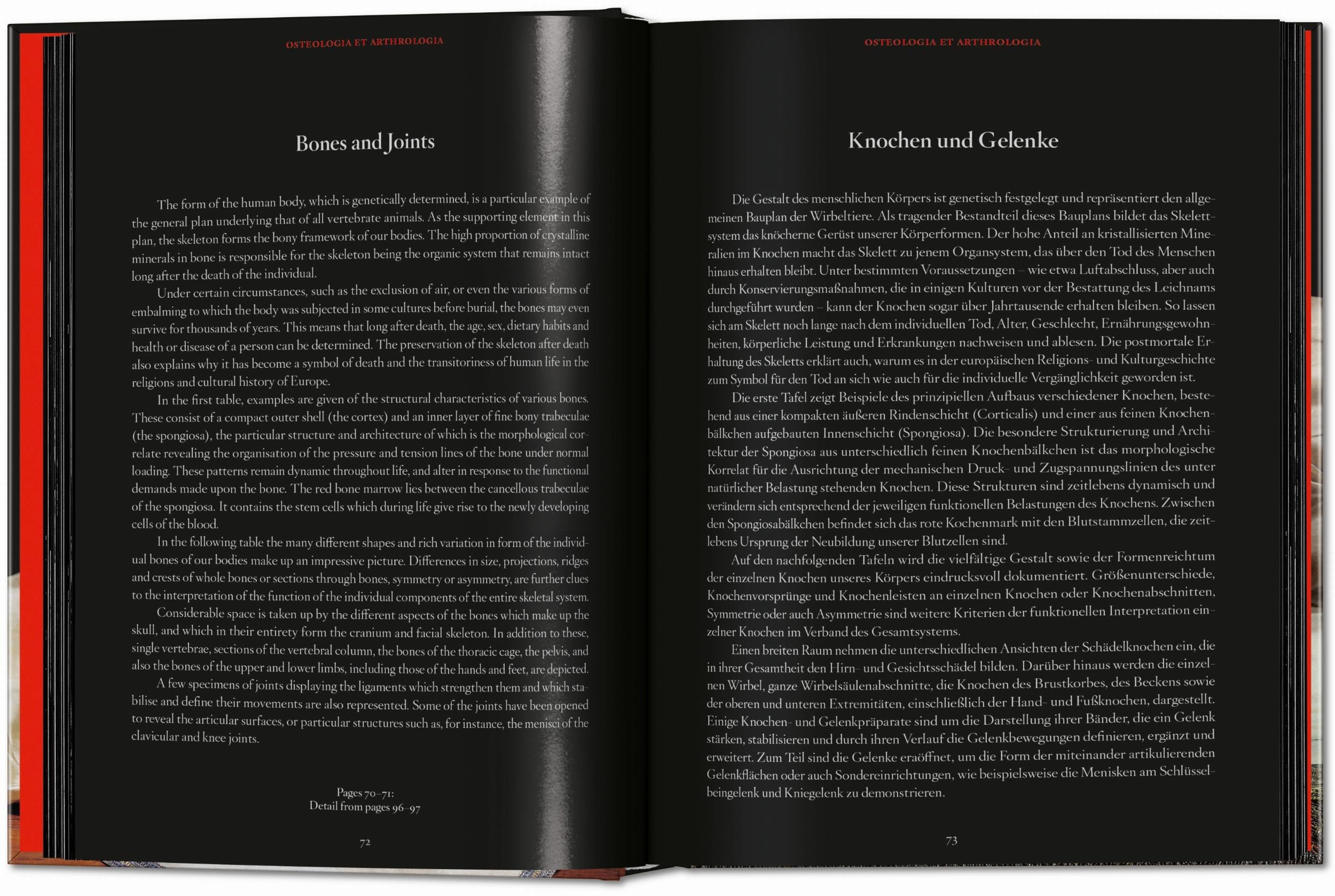 Anatomical Waxes. 45th Ed. (German, French, English)