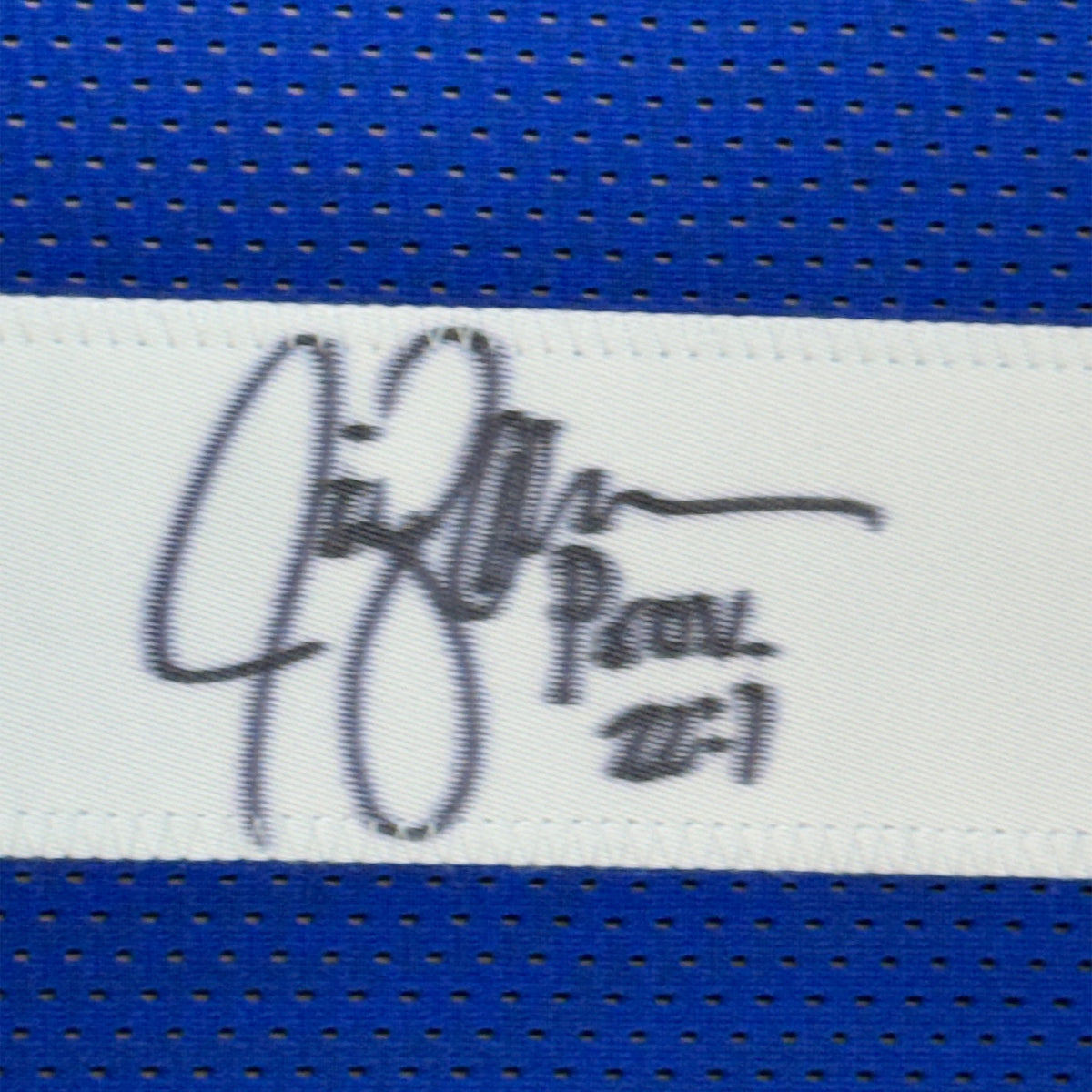 Framed Autographed/Signed Jim Zorn 35x39 Seattle Blue Football Jersey JSA COA