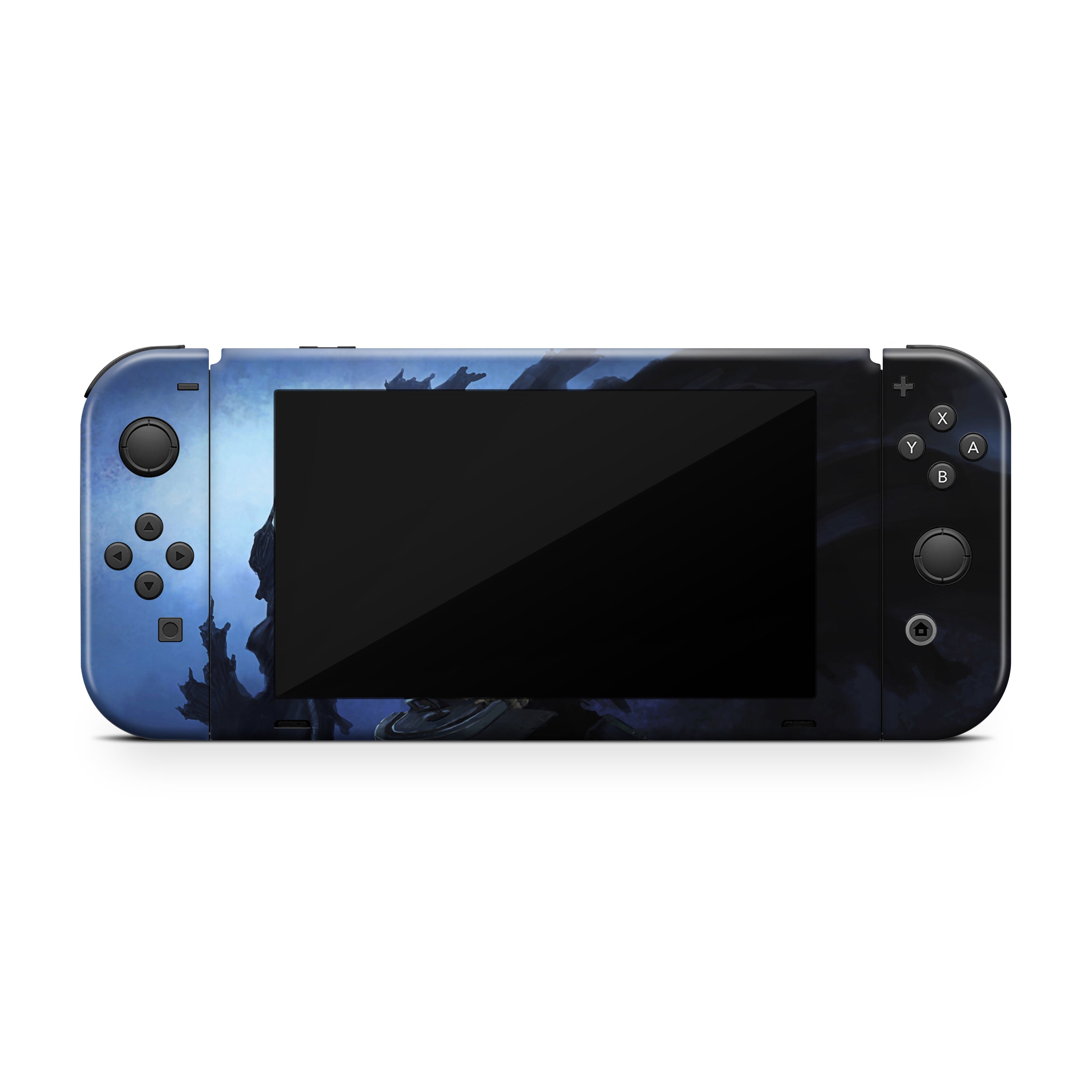 Berserker Knight Nintendo Switch Skin