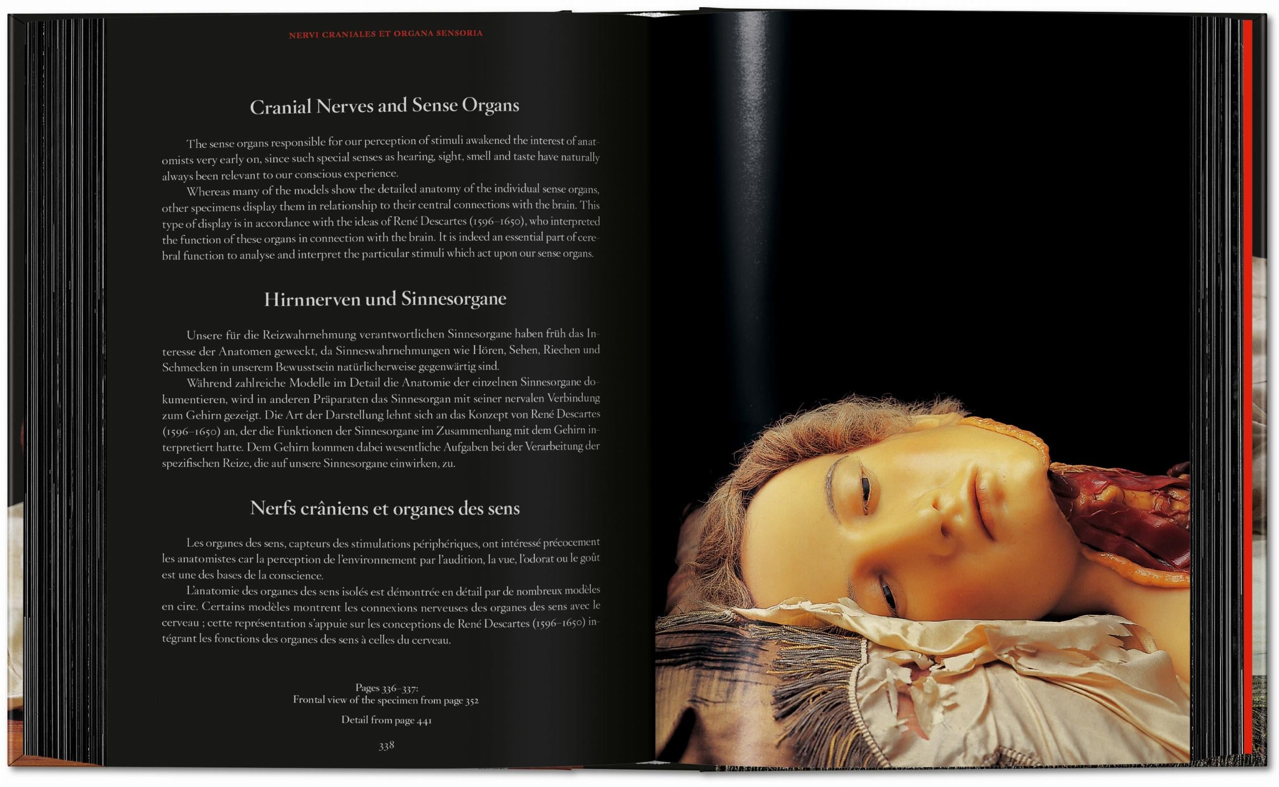 Anatomical Waxes. 45th Ed. (German, French, English)