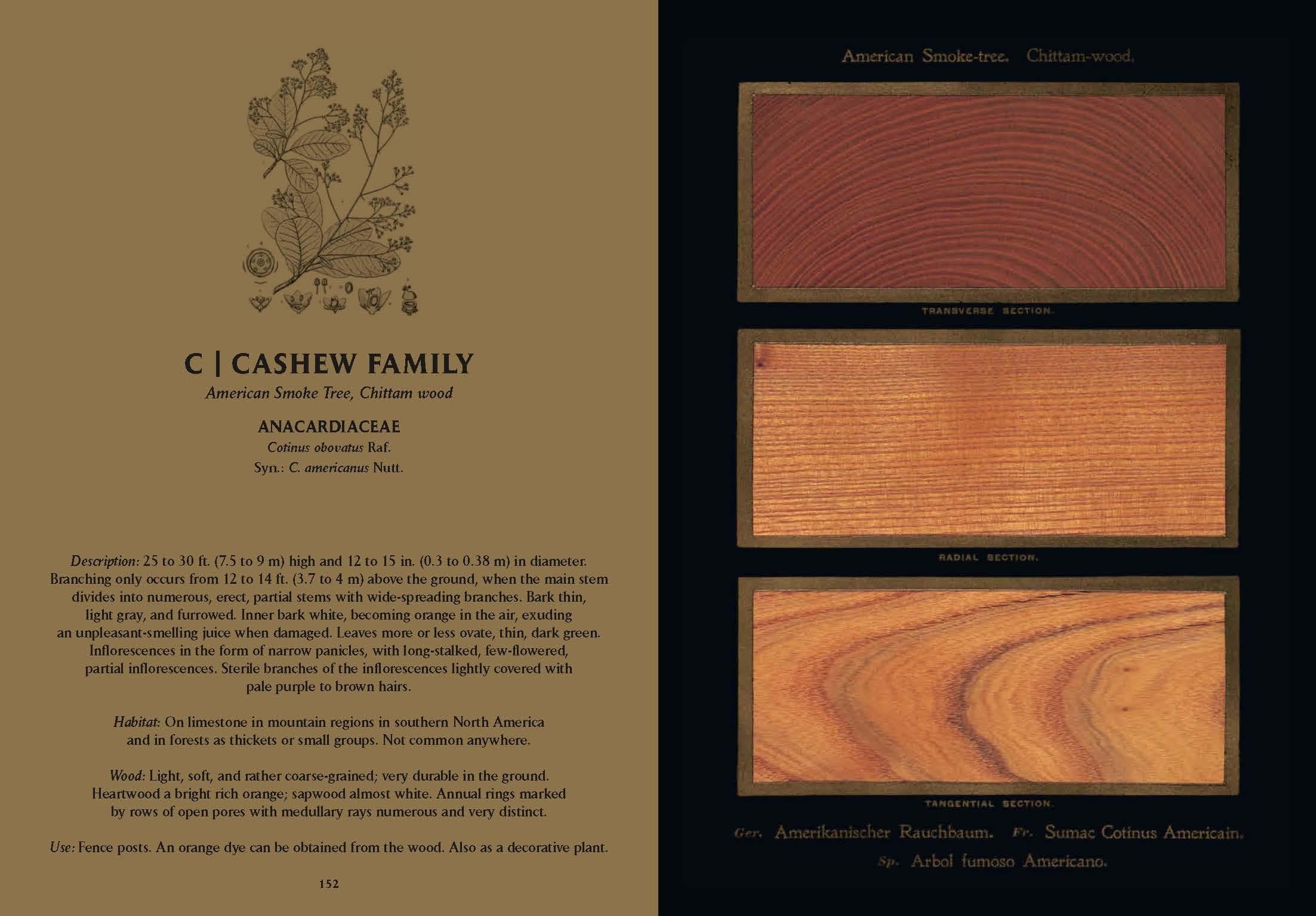 Romeyn B. Hough. The Woodbook. The Complete Plates (English)