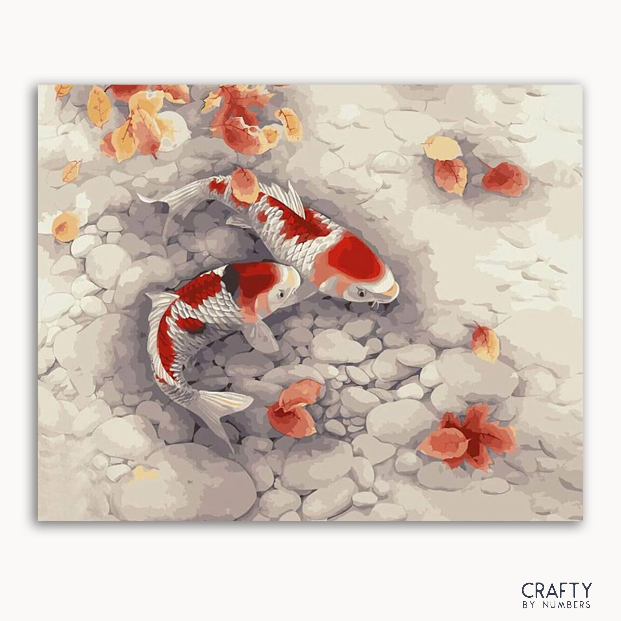 Swimming Koi
