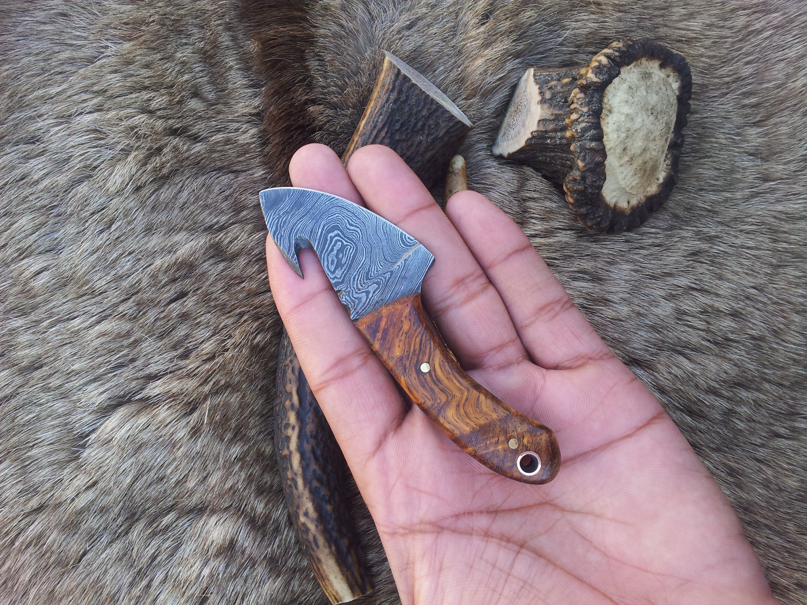 Mini Guthook Knife - Custom Damascus Steel Blade & Rosewood Handle