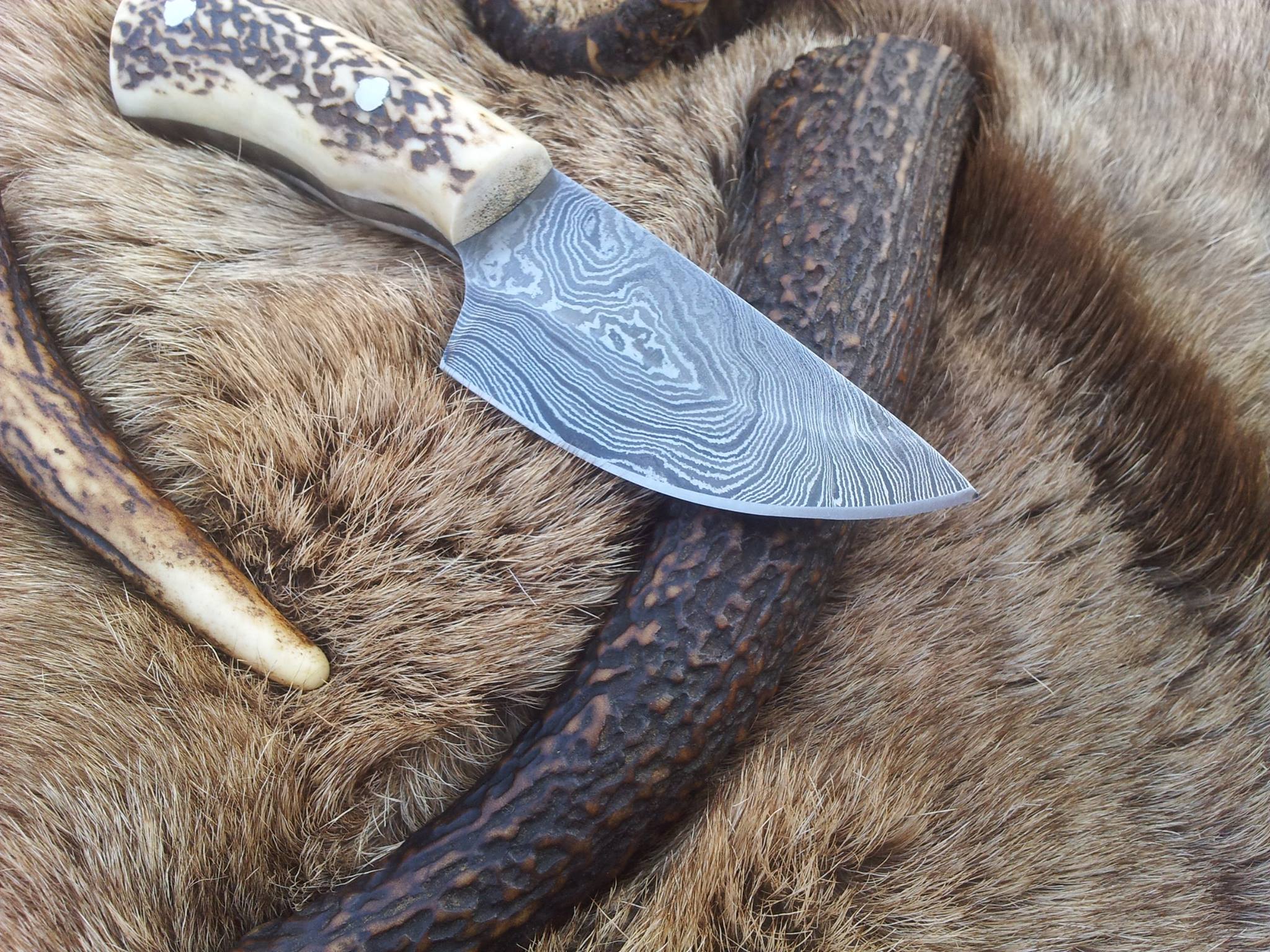 Custom Damascus Steel Field Dressing Deer Skinning Knife with Antler Horn Handle – 7 Inch Drop Point Blade