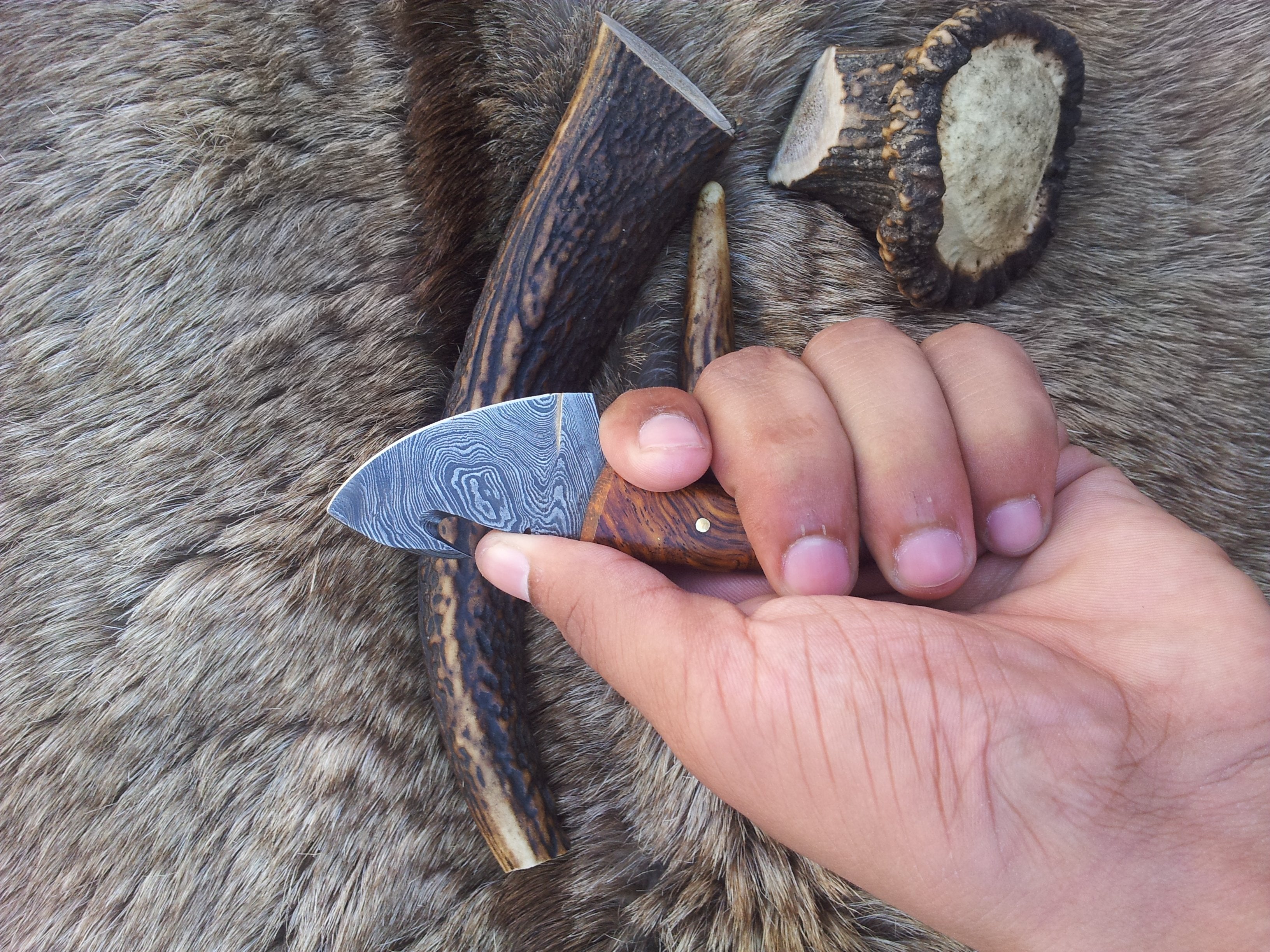 Mini Guthook Knife - Custom Damascus Steel Blade & Rosewood Handle