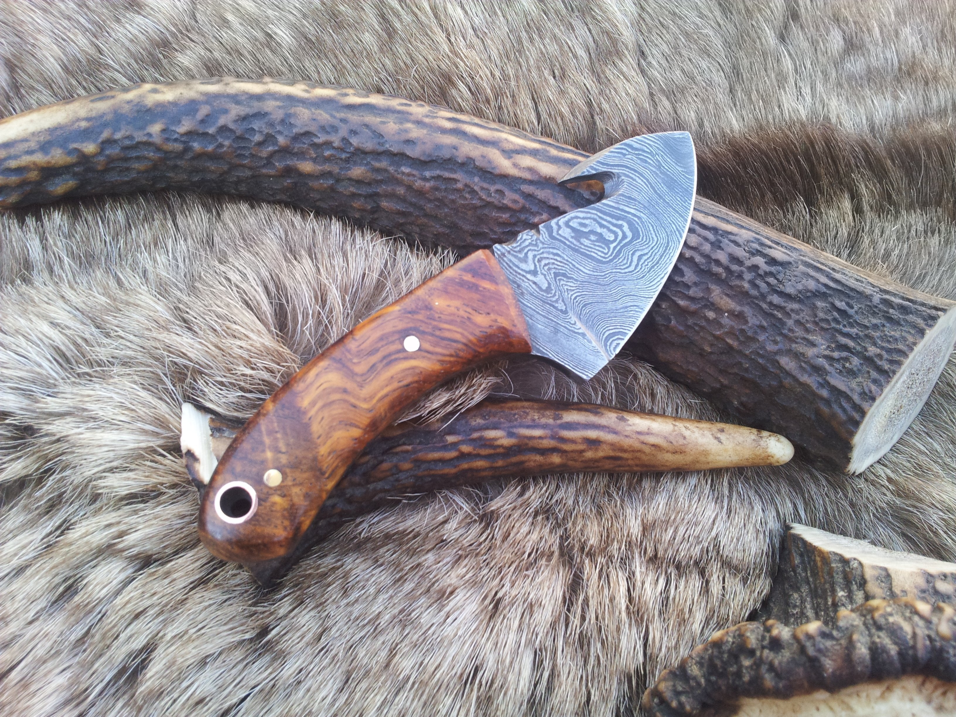 Mini Guthook Knife - Custom Damascus Steel Blade & Rosewood Handle