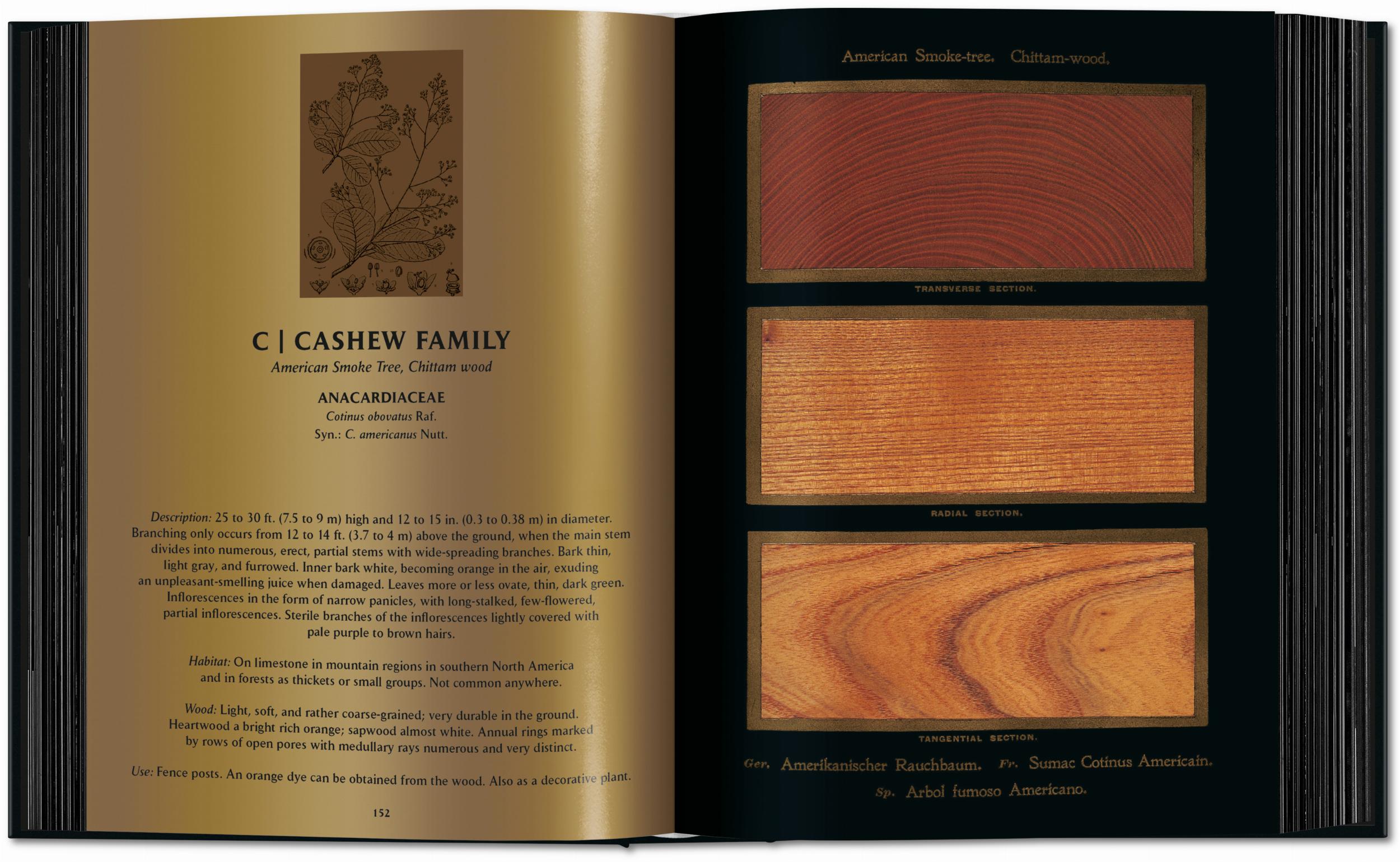 Romeyn B. Hough. The Woodbook. The Complete Plates (English)