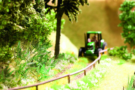 Noch 14100 All Scale Ferns -- pkg(9)