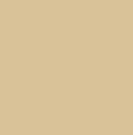 AK Interactive 11343 AFV Series: MERDC Sand FS30277 3G Acrylic Paint 17ml Bottle