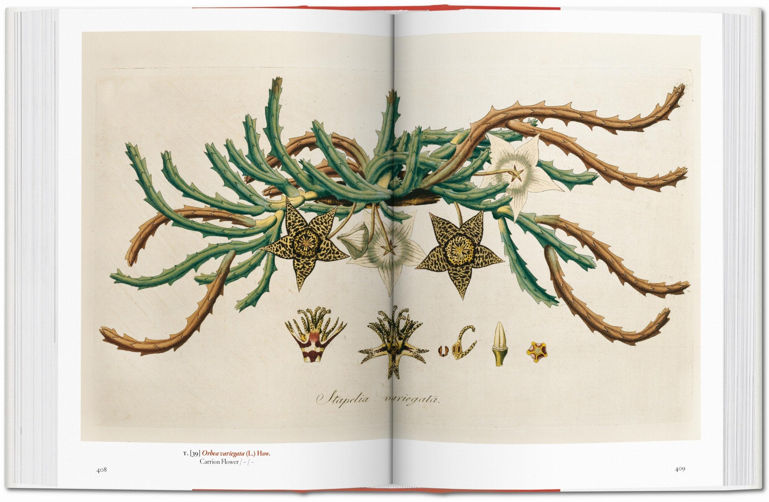 A Garden Eden. Masterpieces of Botanical Illustration. 45th Ed. (Spanish, English, Italian)