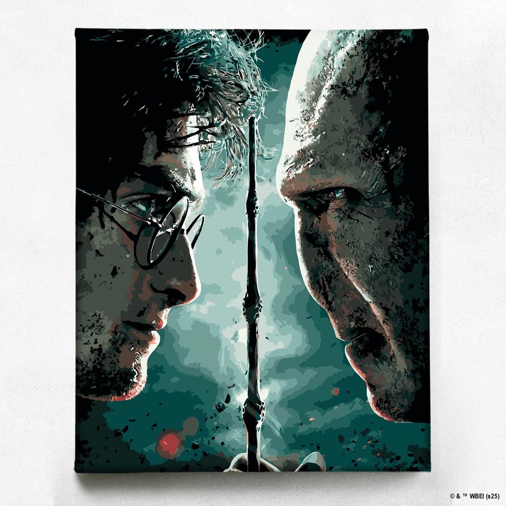 Harry vs Voldemort - Paint By Numbers Kit