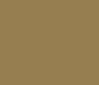 AK Interactive 11370 AFV Series: Russian Sand 7K 3G Acrylic Paint 17ml Bottle