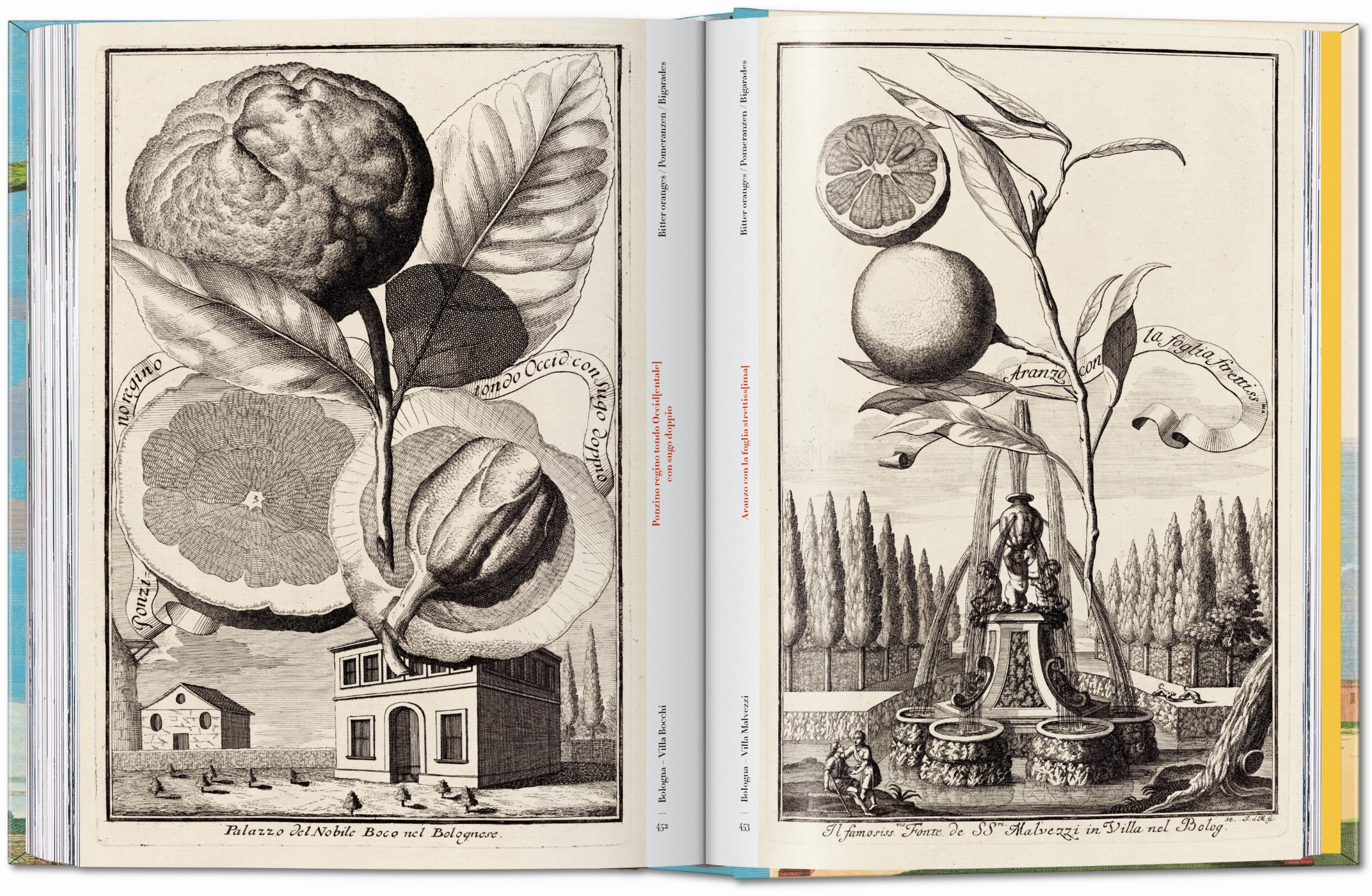 J. C. Volkamer. The Book of Citrus Fruits. 45th Ed. (German, French, English)