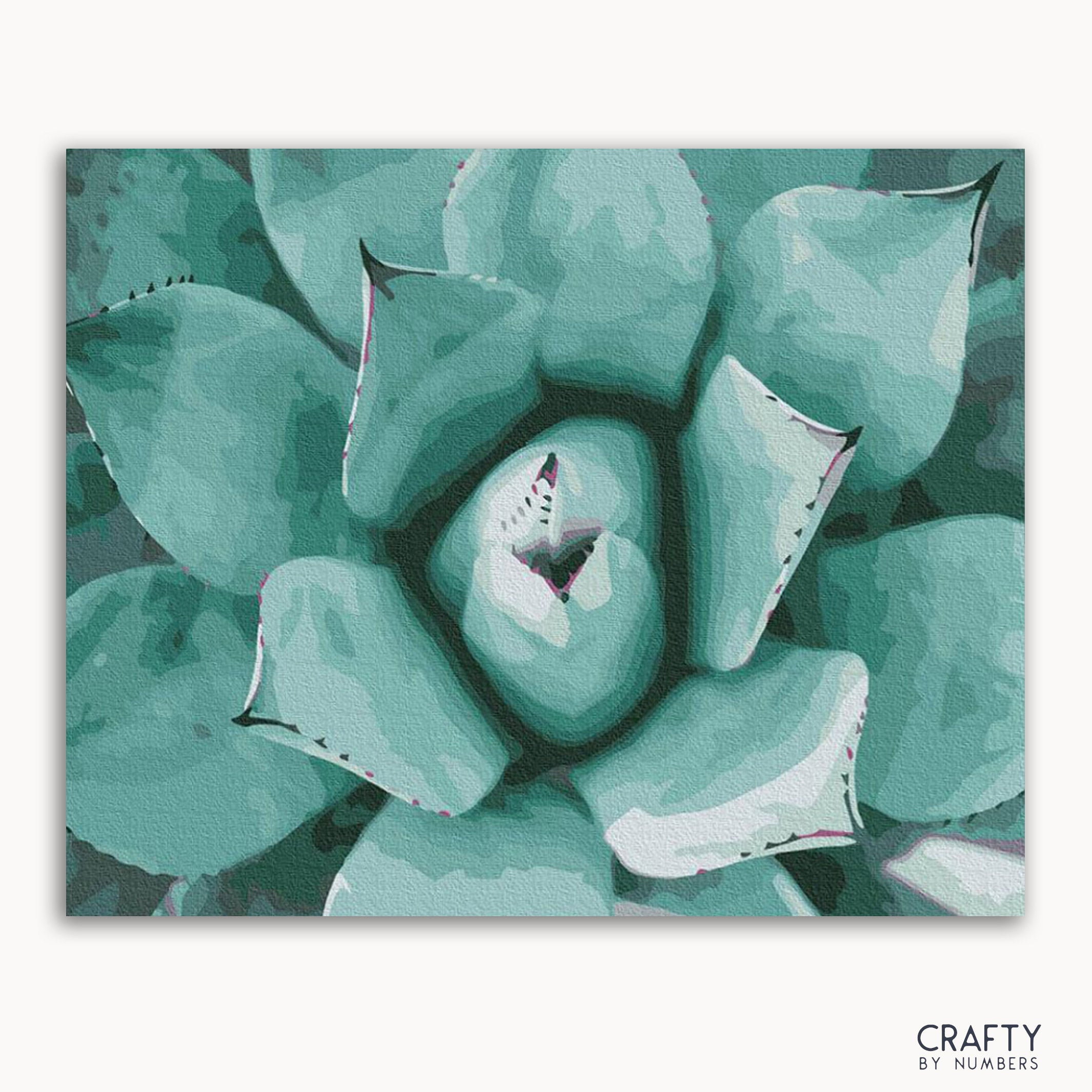 Succulent