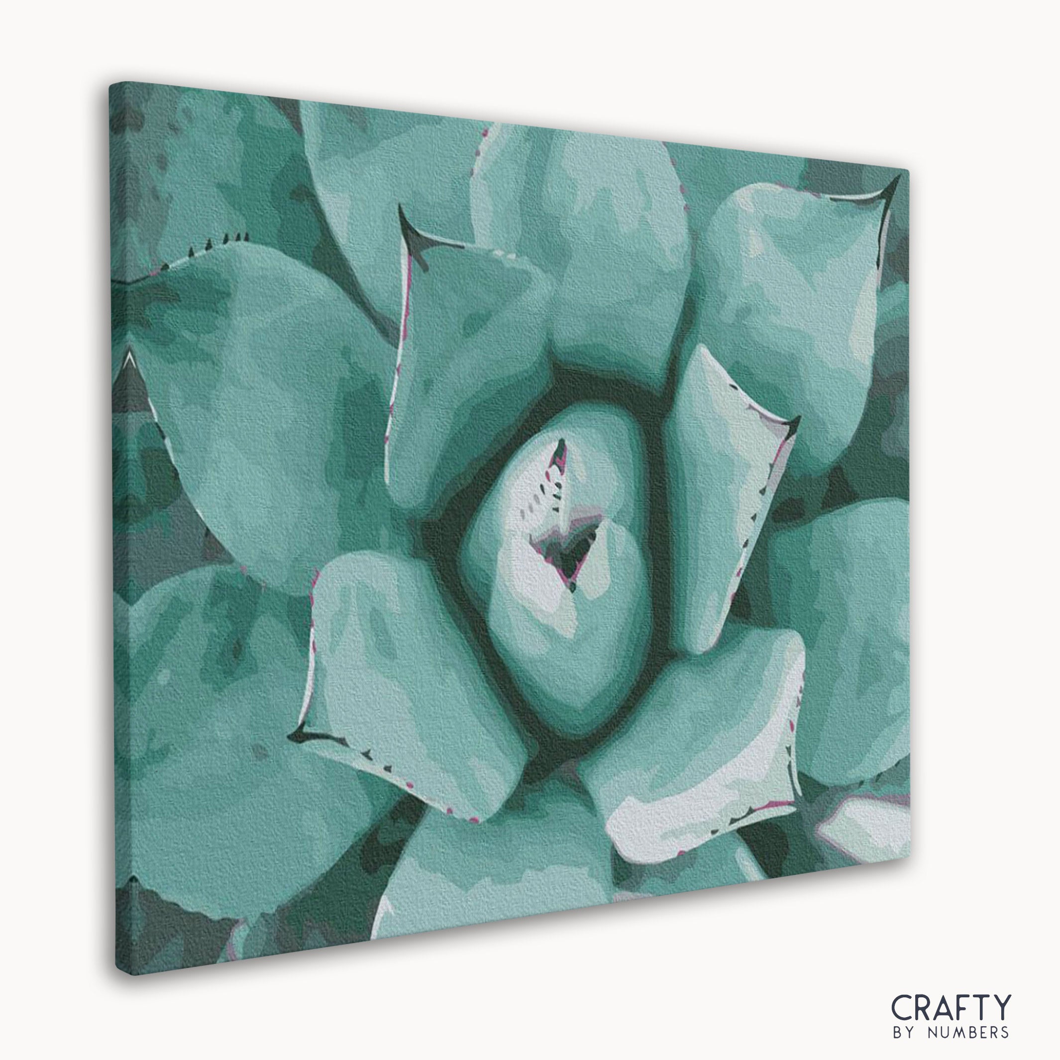 Succulent