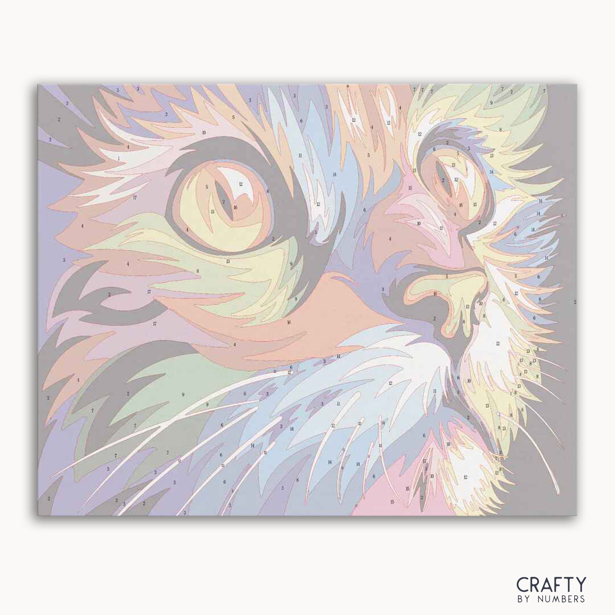 Colorful Cat