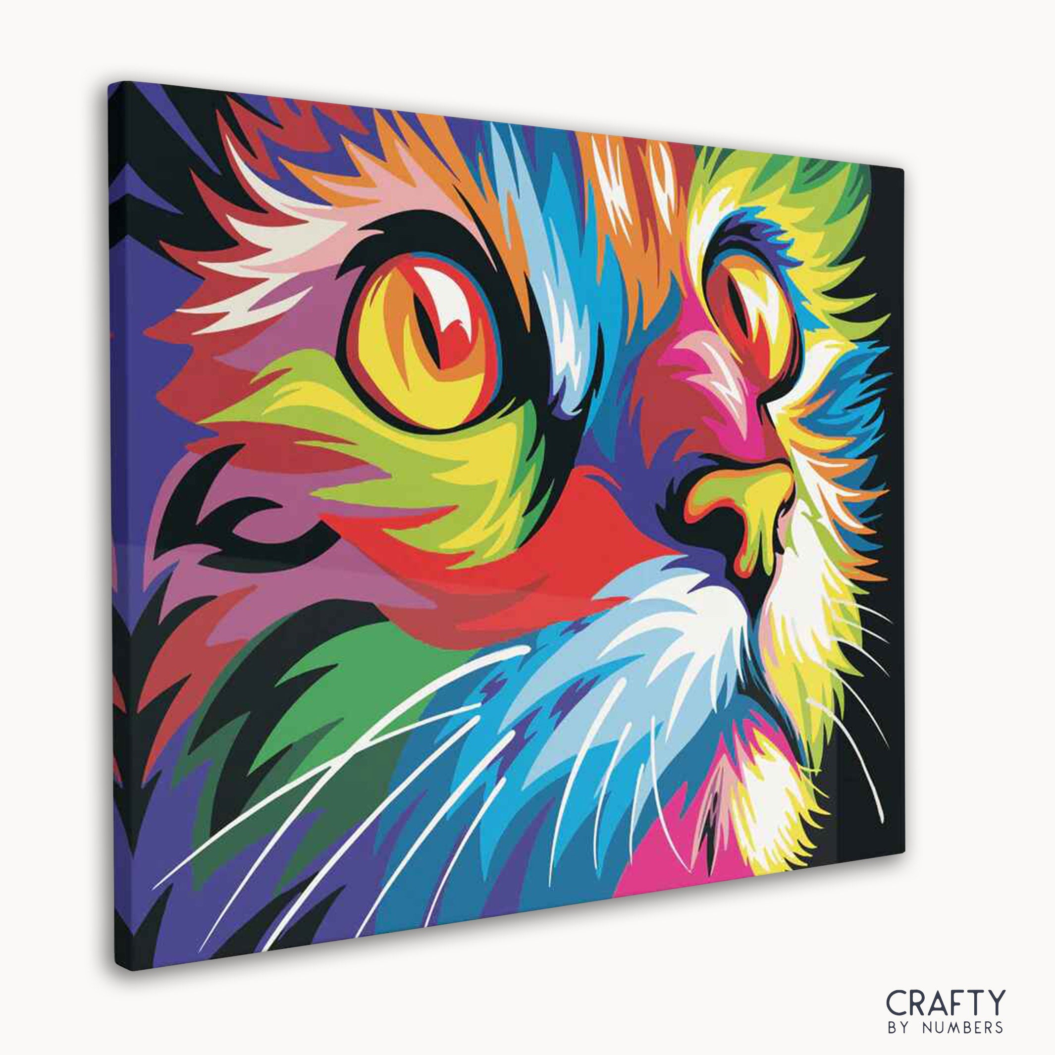 Colorful Cat