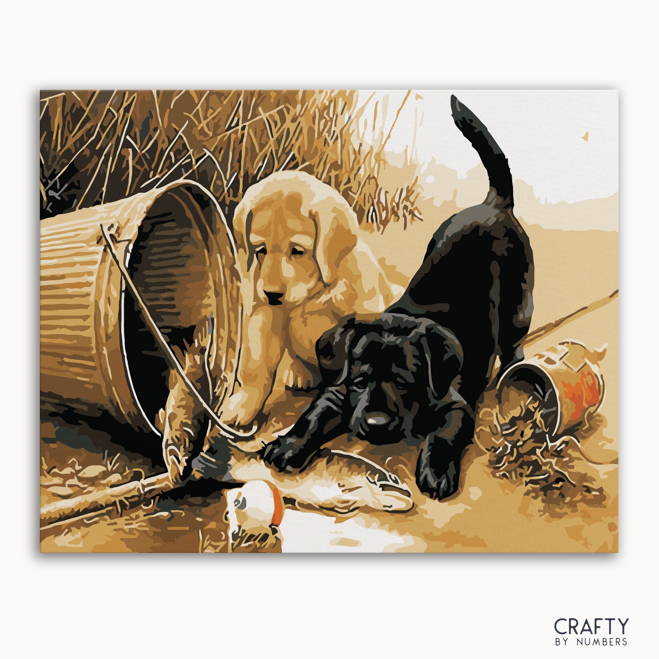 Puppies at Play