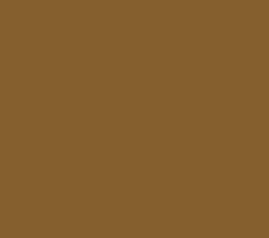 AK Interactive 11385 AFV Series: SCC No2 Brown 3G Acrylic Paint 17ml Bottle