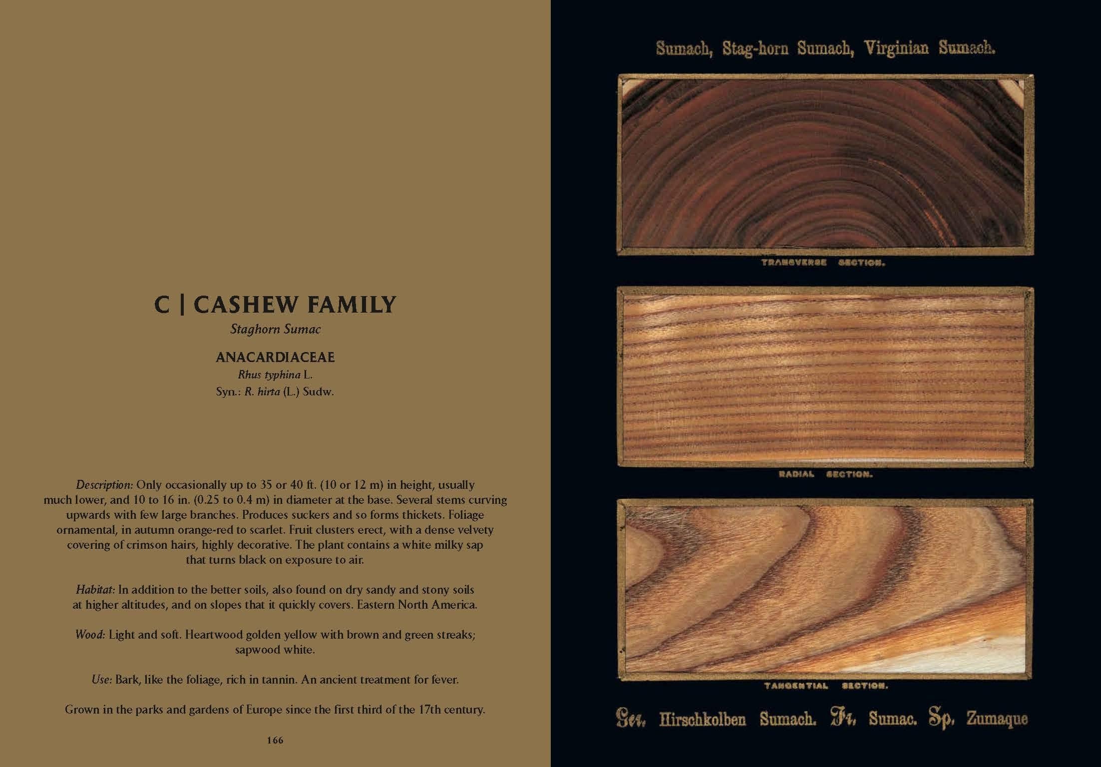 Romeyn B. Hough. The Woodbook. The Complete Plates (English)