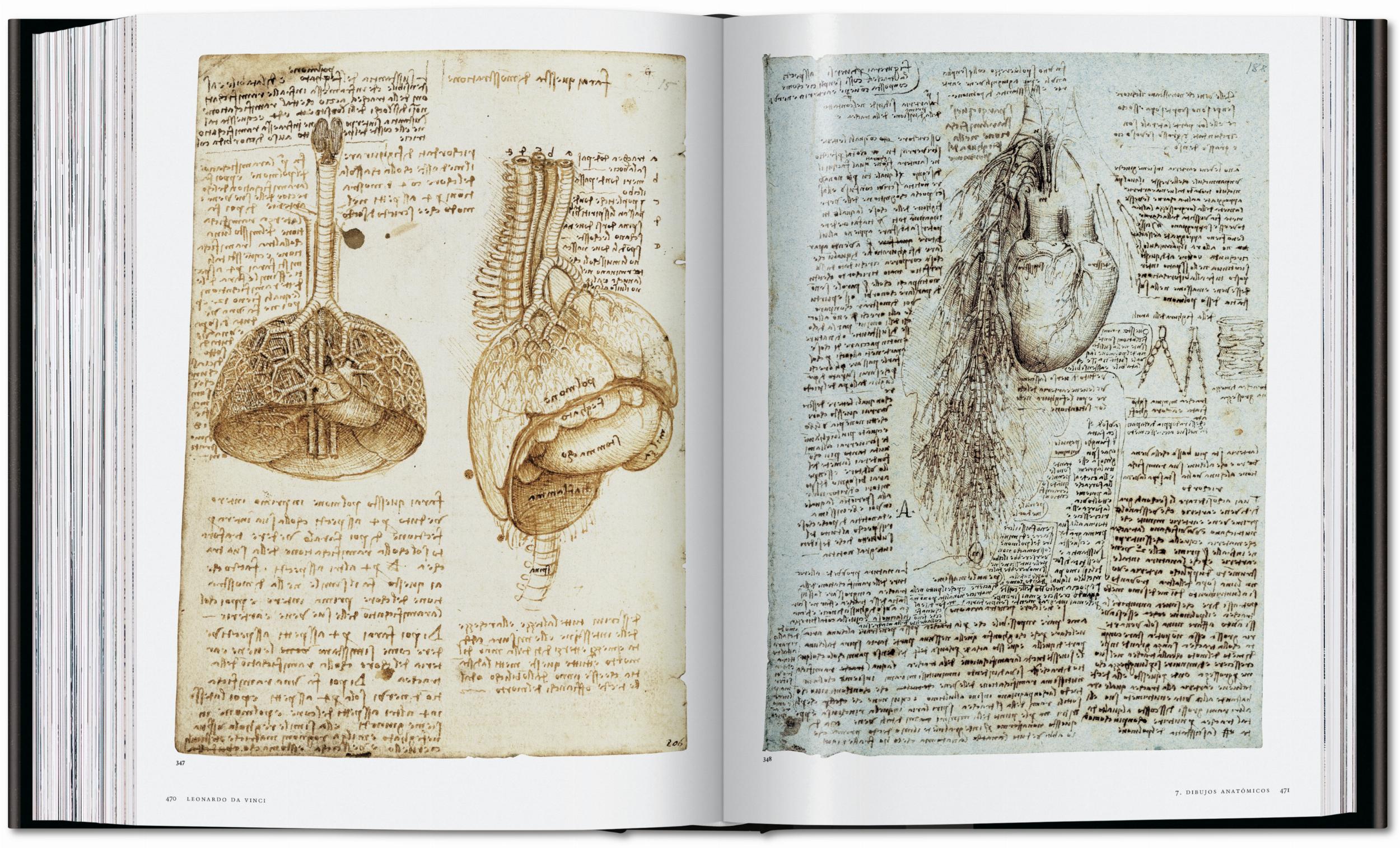 Leonardo. The Complete Paintings and Drawings (English)